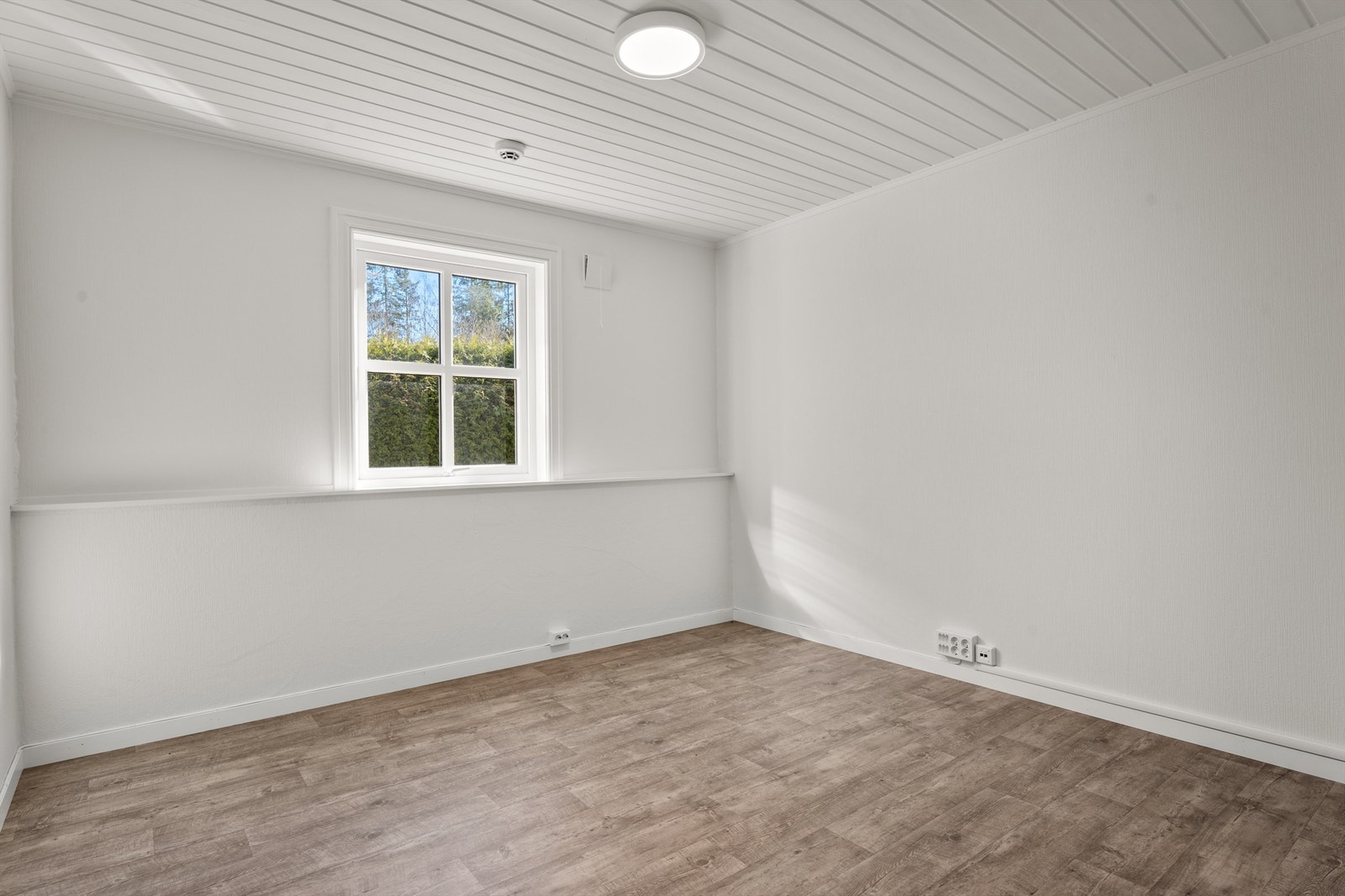 Stue i hybel nr. 1. Galleribilde