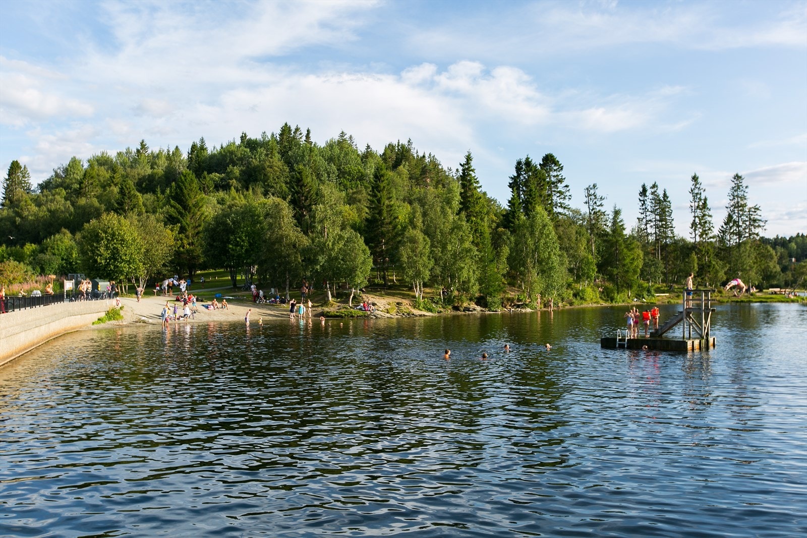 Theisendammen Galleribilde