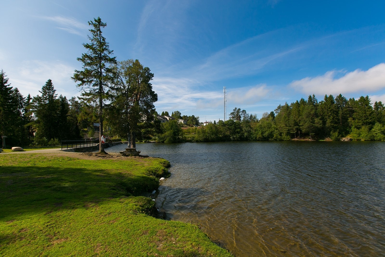 Fra boligen er det kort avstand til Bymarka. Galleribilde