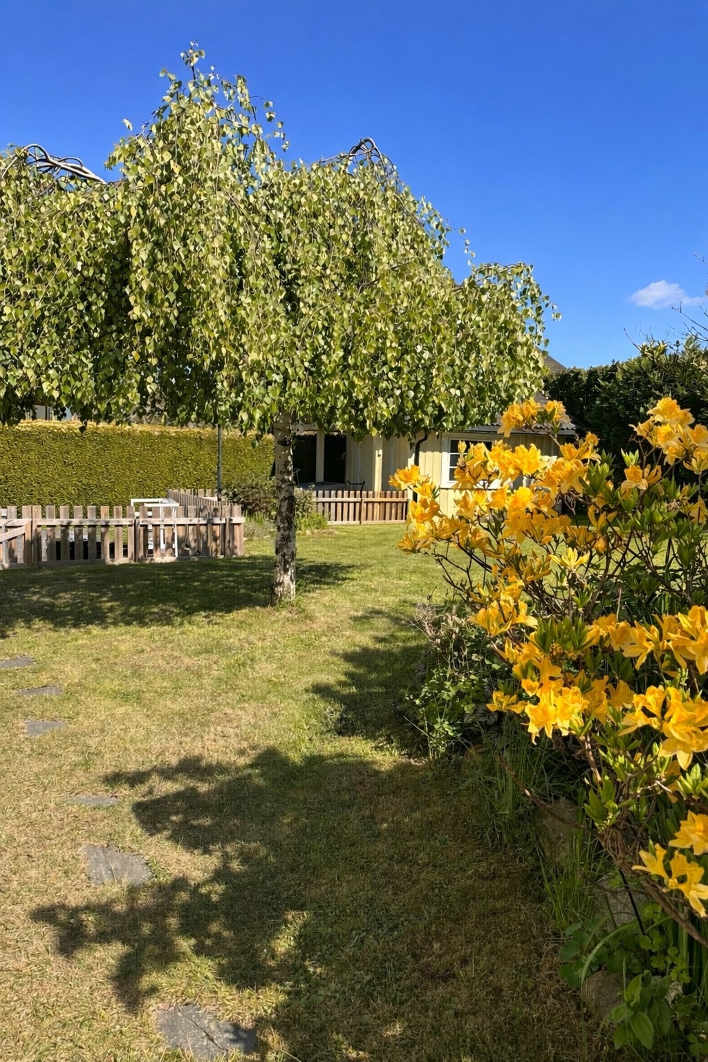 Flotte sommerbilder. (private bilder) Galleribilde