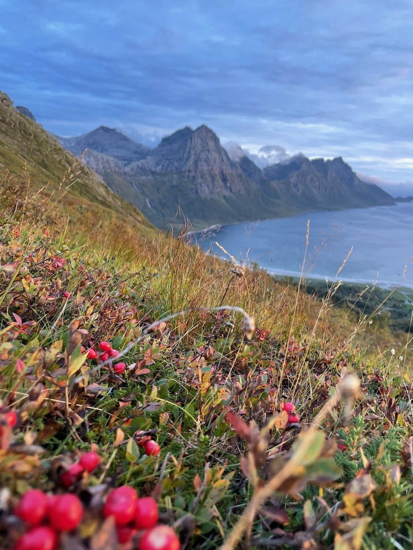 Like nedenfor Hustofttinden med utsikt mot Brennviksanden Galleribilde