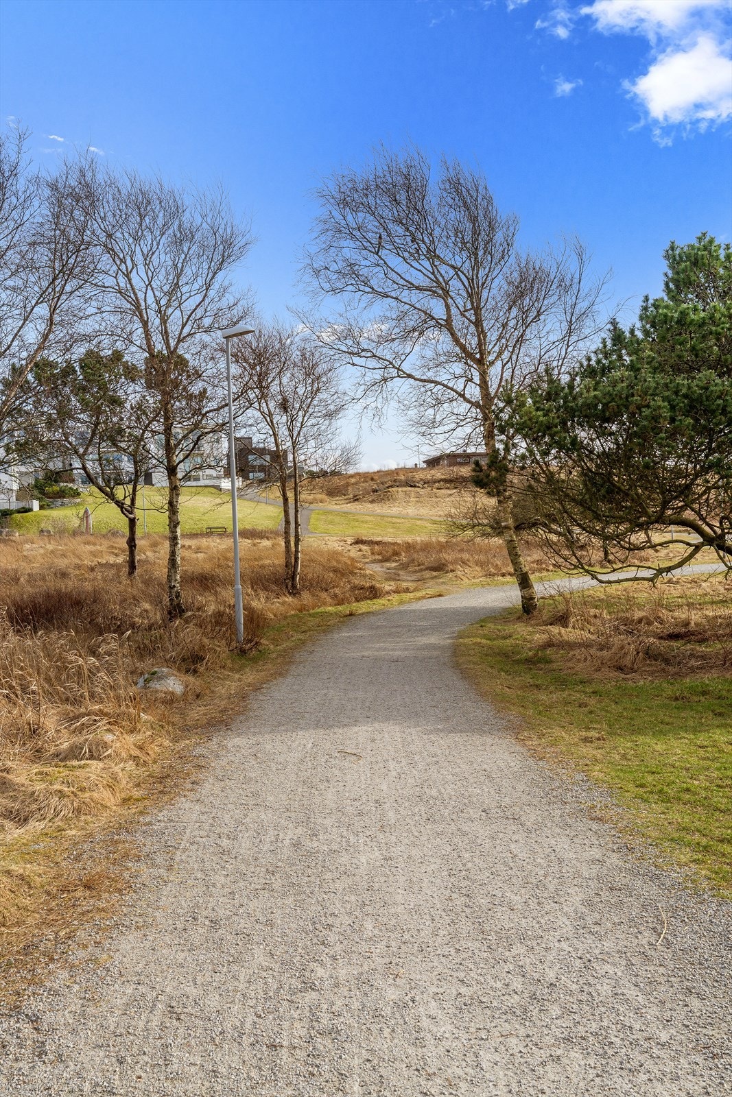 Nærområde. Galleribilde
