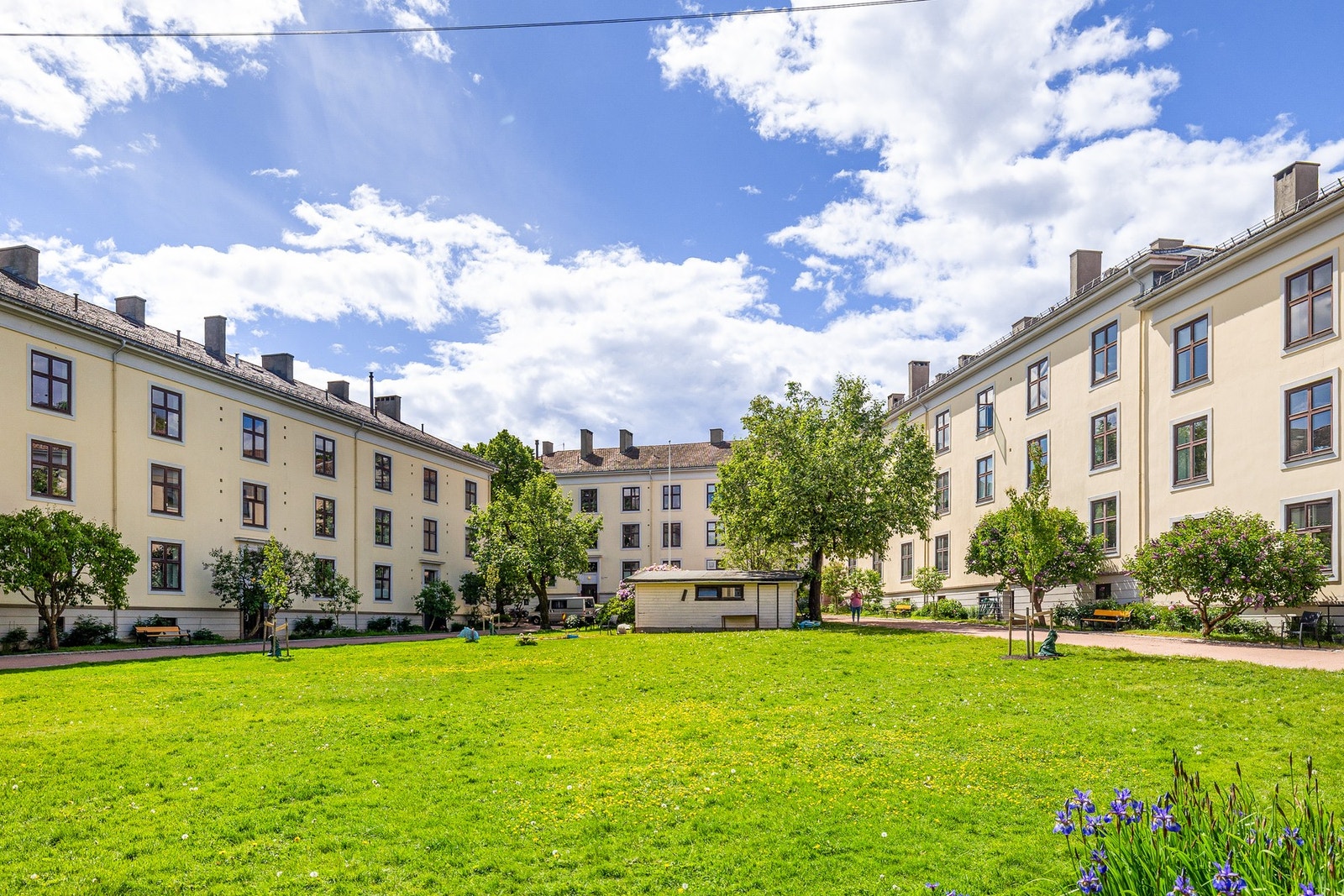 Sommerbilde fra bakgården. Galleribilde