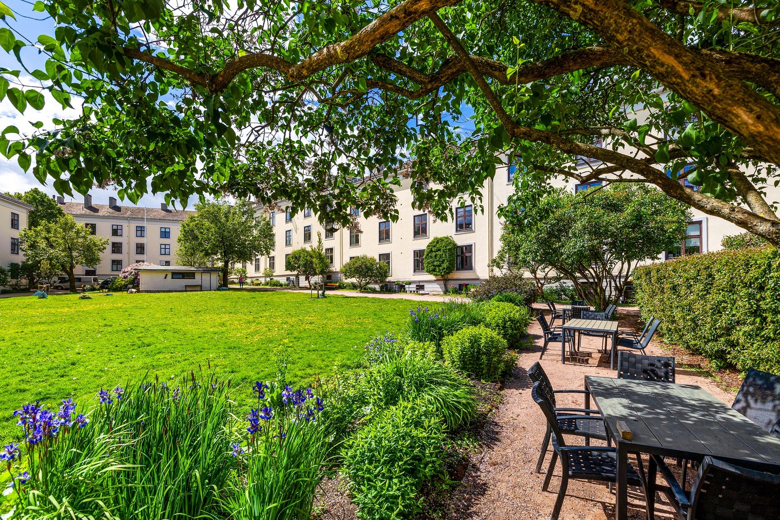 Sommerbildet av den frodige hagen. Galleribilde
