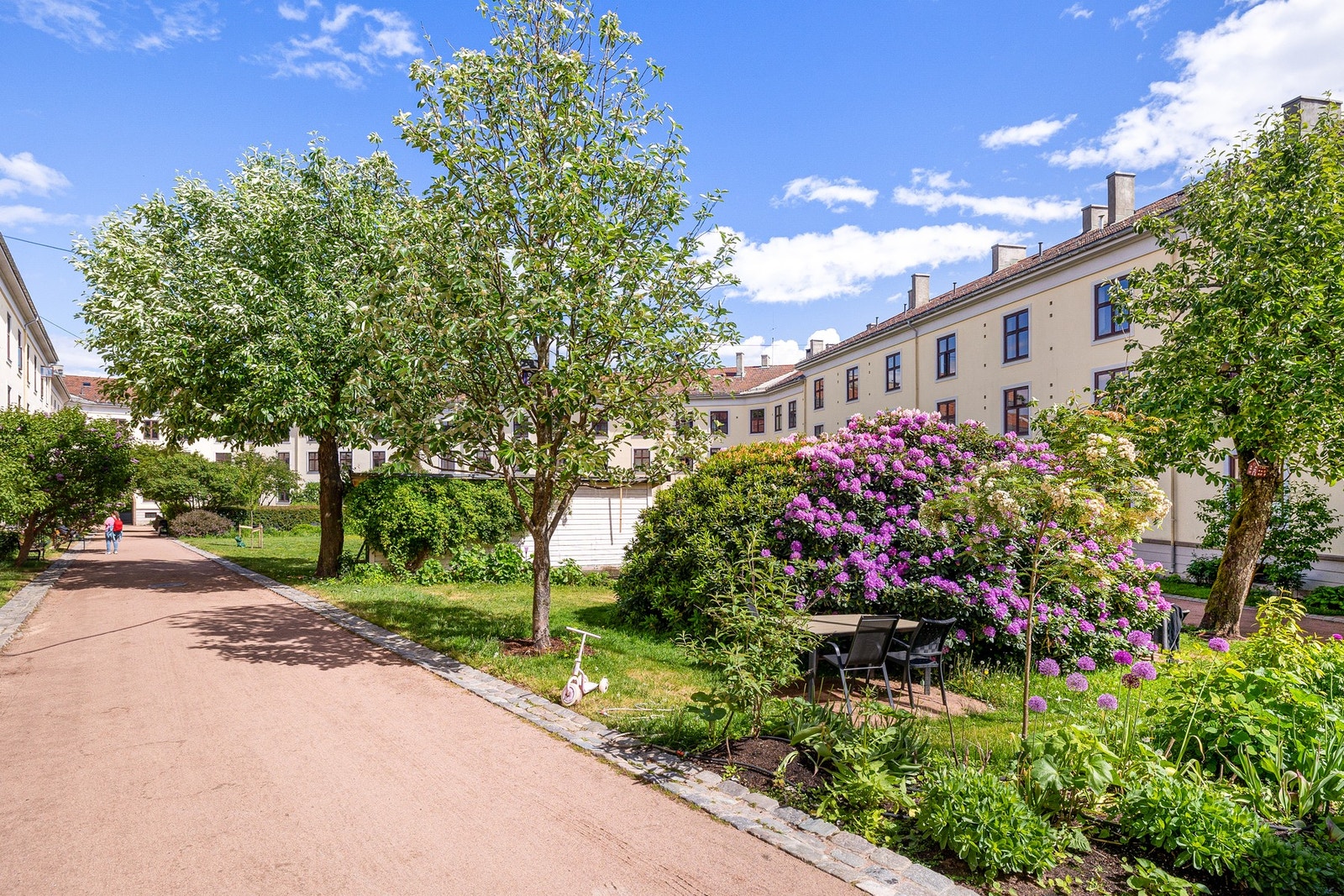 Sommerbilde fra bakgården. Galleribilde