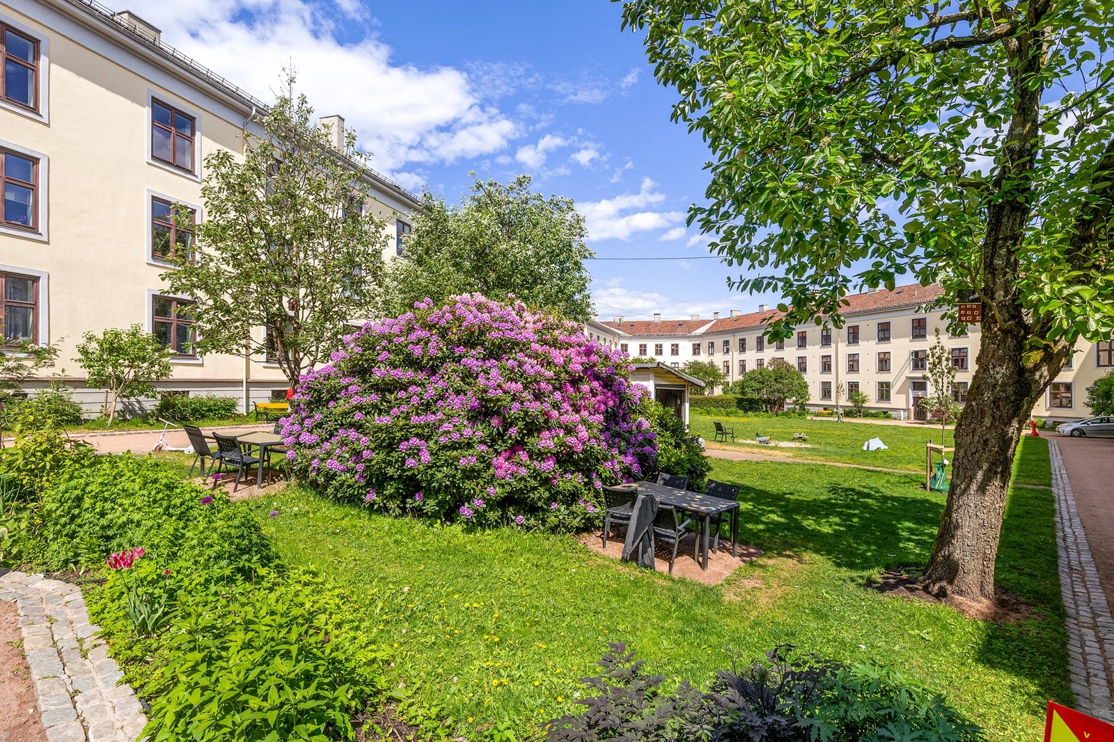 Sommerbilde fra bakgården. Galleribilde