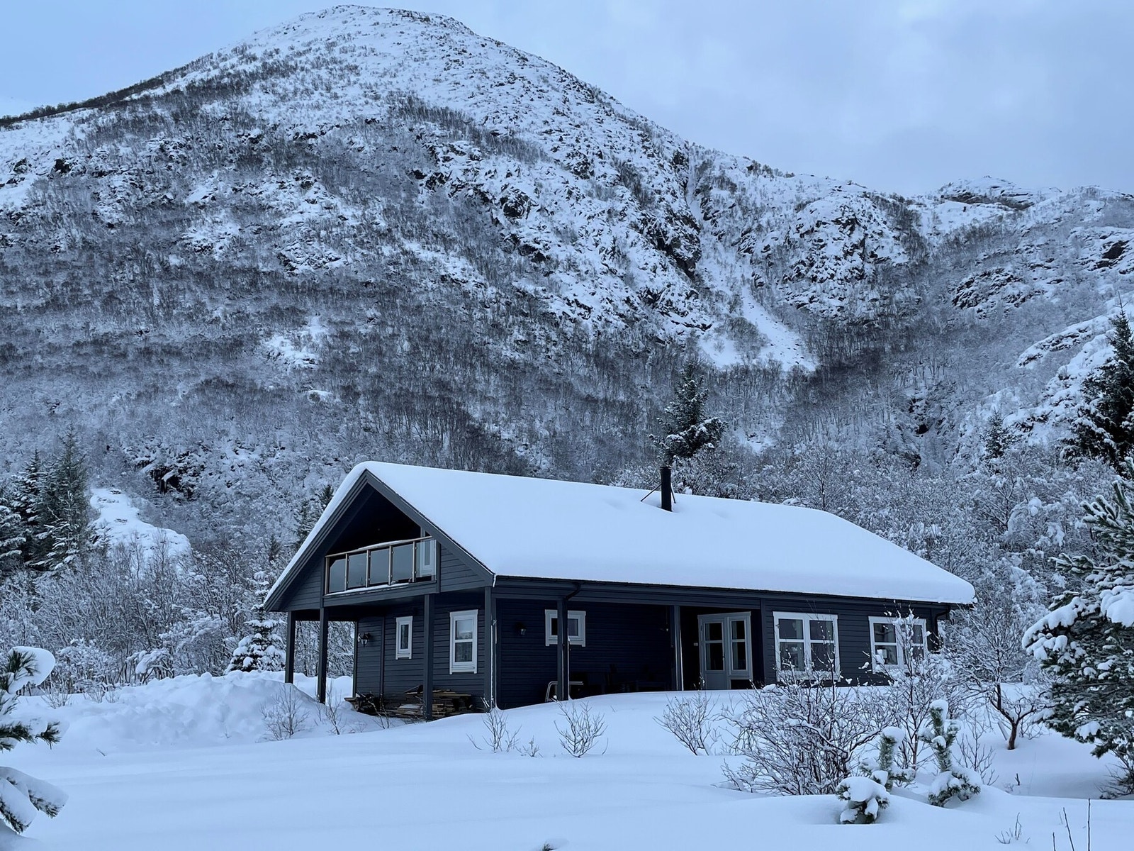 Vinterstemning. Foto tatt av selger. Galleribilde