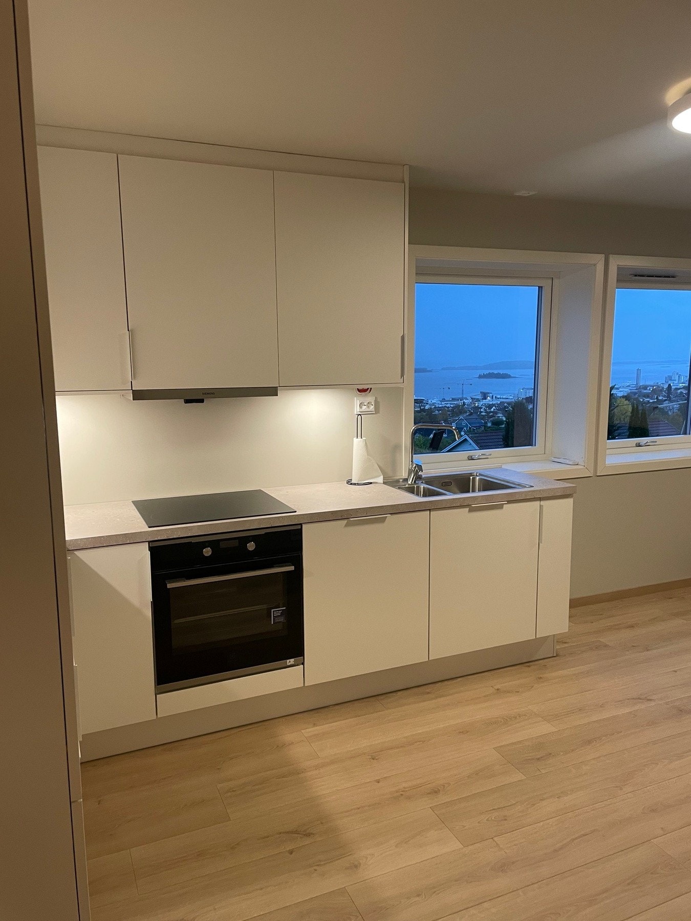 Utleiedel Galleribilde