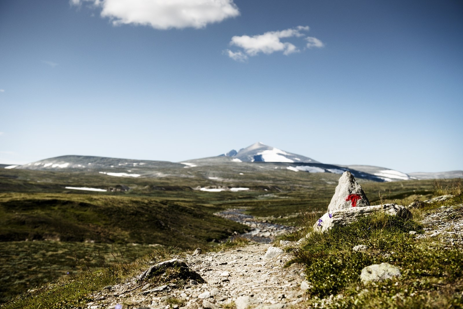 Nærheten til Trollheimen betyr kort vei til urørt natur. Fjellområdene utenfor fritidstomtene byr på merkede turstier hvor åpne turisthytter kan være turmålet, eller kanskje du heller ønsker å utforske terrenget utenfor stien. Galleribilde