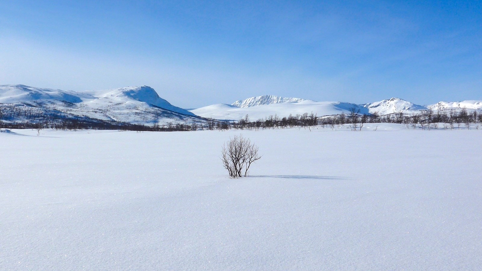 Ta kontakt med megler for mer info om eiendommene! Galleribilde