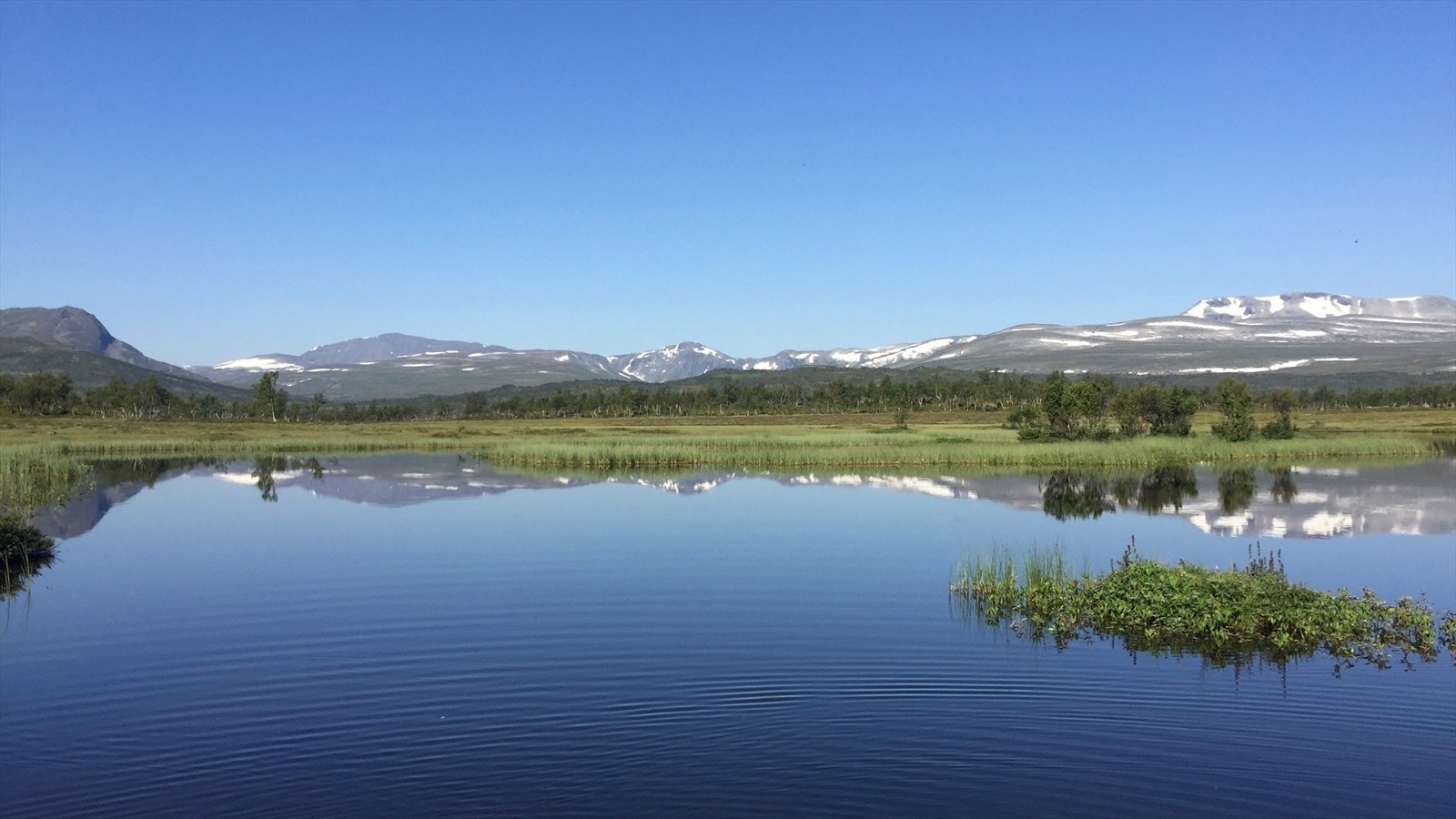 Svardalstjønna ligger kun 800 meter fra tomtene. Galleribilde