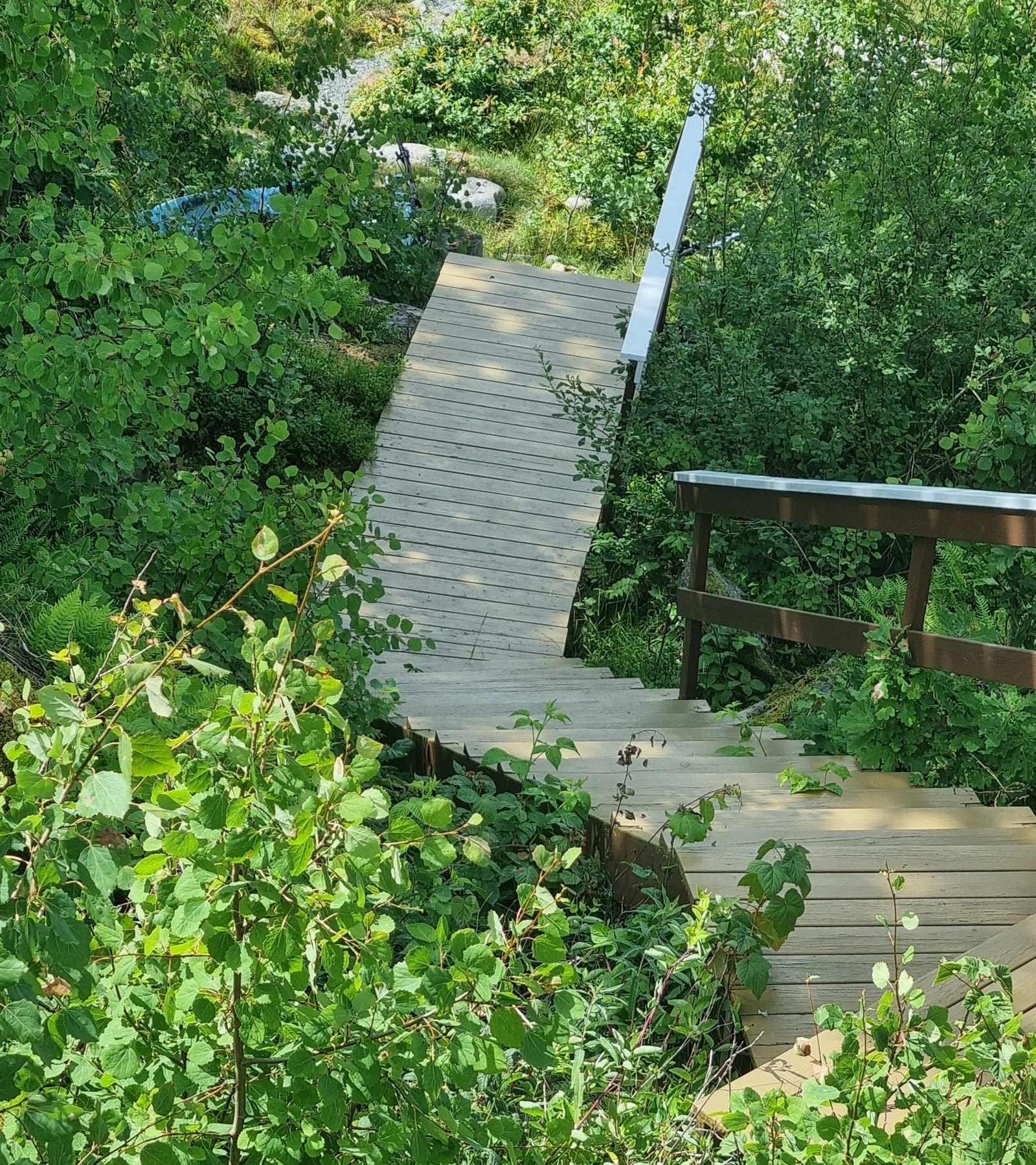 Trappen opp til hytta - hyggelig adkomst Galleribilde