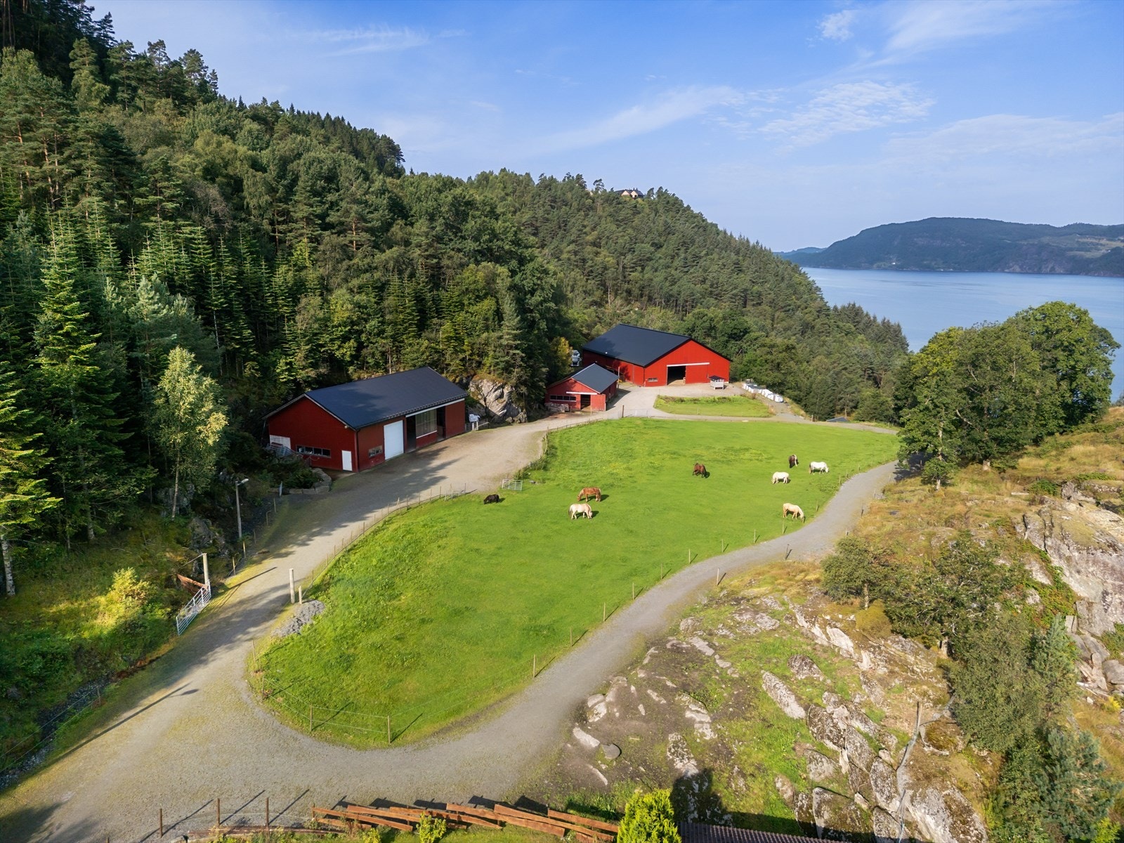 Redskapshus, sauhus og ridehall. Galleribilde