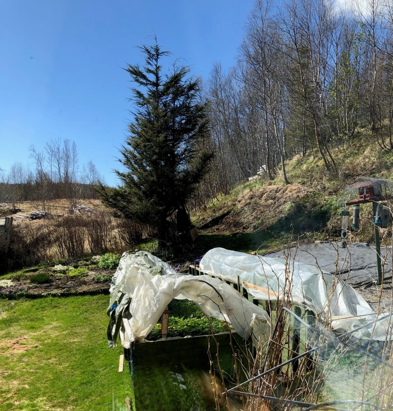 Det er godt tilrettelagt for selvdyrking av bær og grønnsaker, bl.a med utendørs drivbenker med innlagt varmekabel. Galleribilde