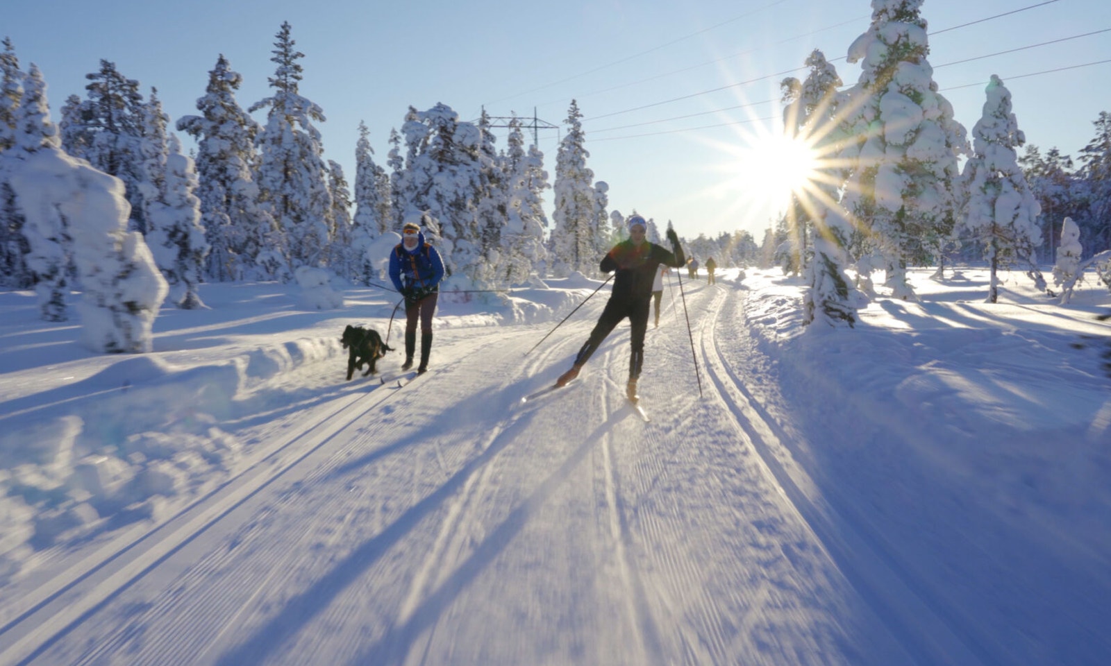 Illustrasjoner fra nærområdet Galleribilde