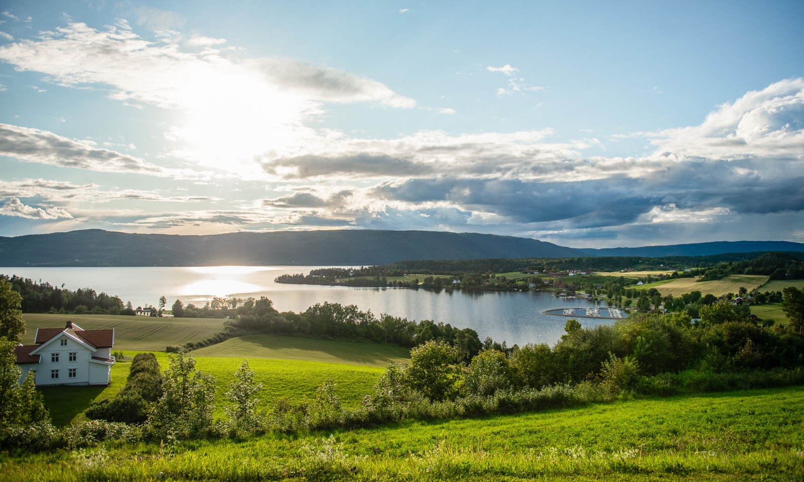 Illustrasjoner fra nærområdet Galleribilde