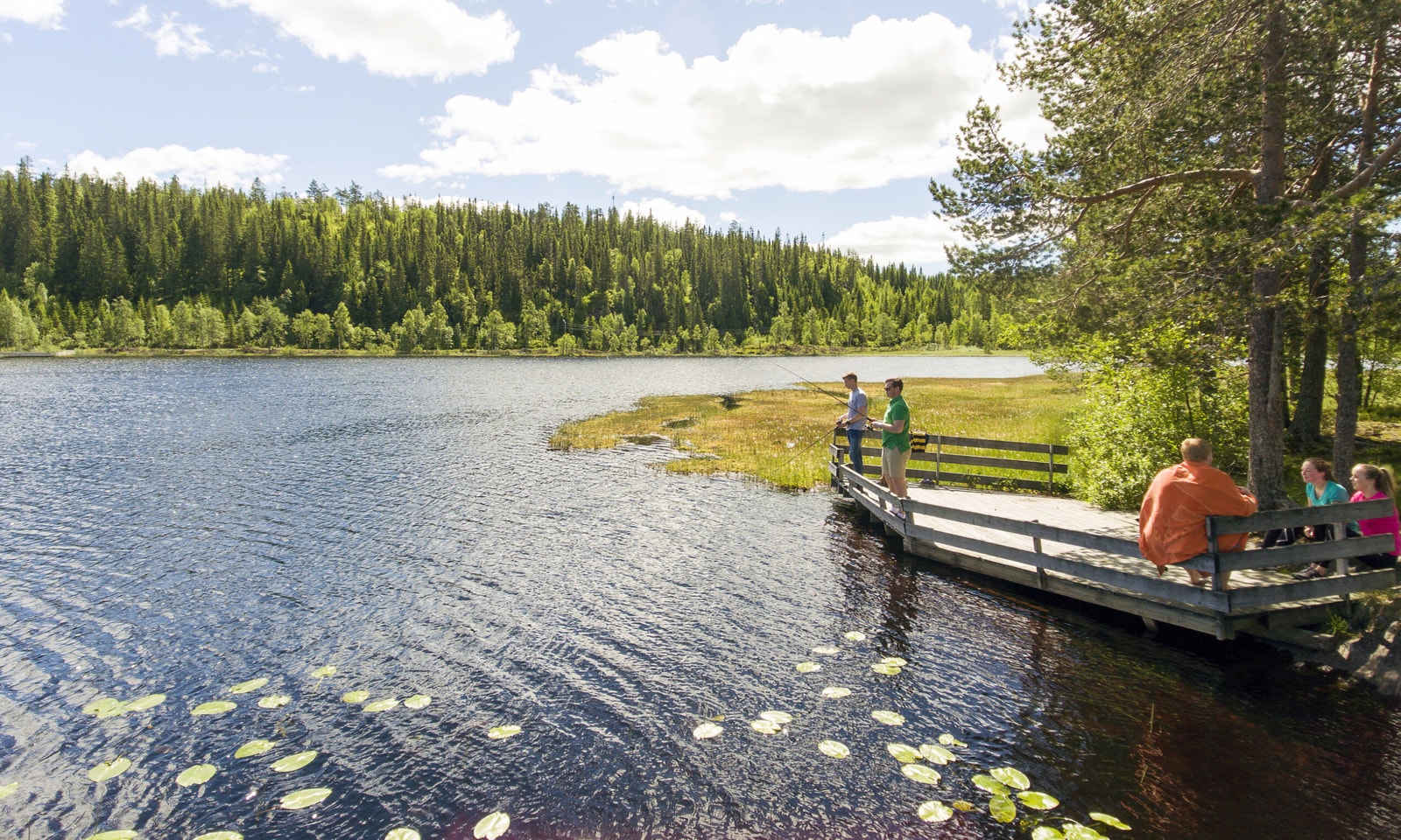 Illustrasjoner fra nærområdet Galleribilde