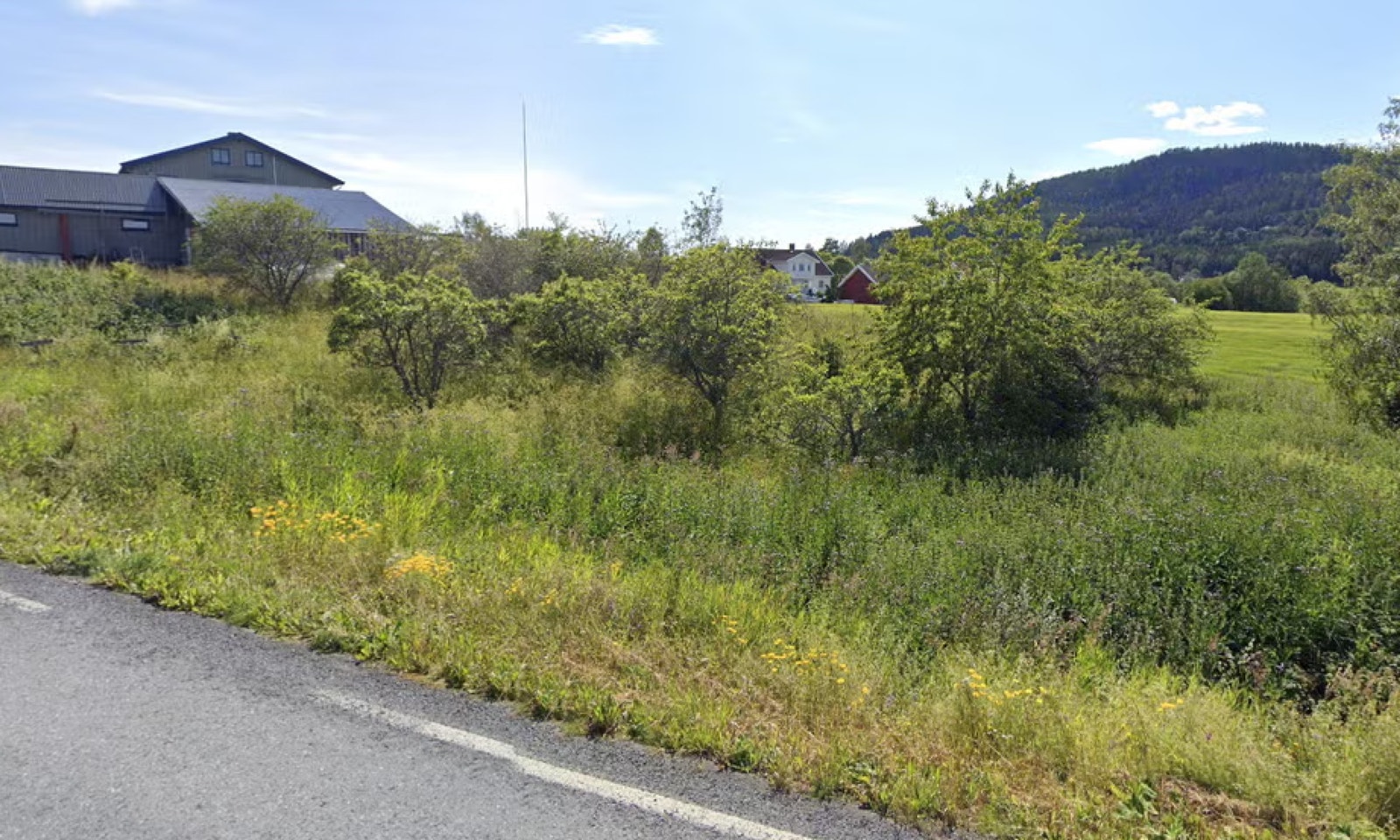 Bilde av tomter Galleribilde