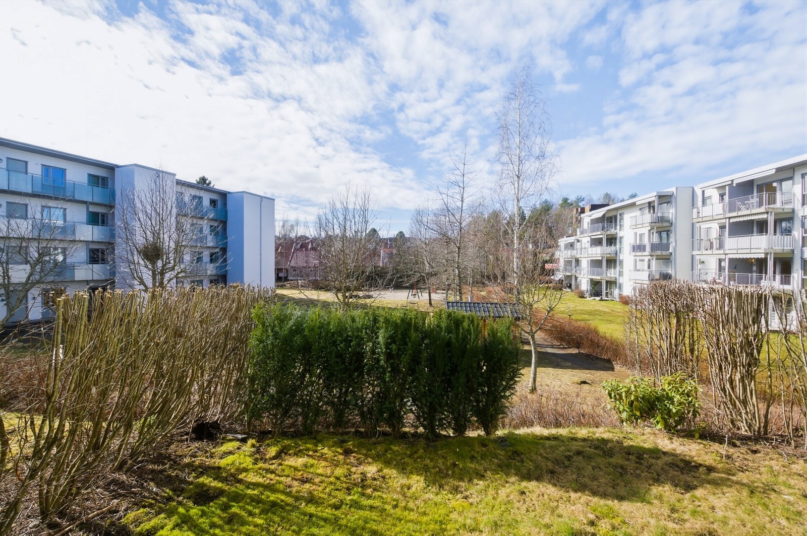 Gressplenen er omkranset av busker som skjermer for innsyn. Galleribilde
