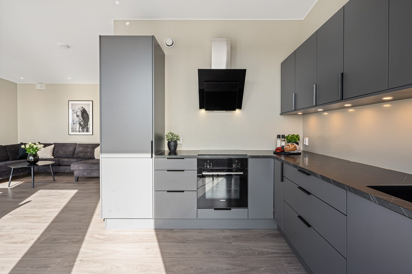 - Kjøkkenet har integrert kjøleskap, oppvaskmaskin, komfyr og induksjonstopp - Galleribilde