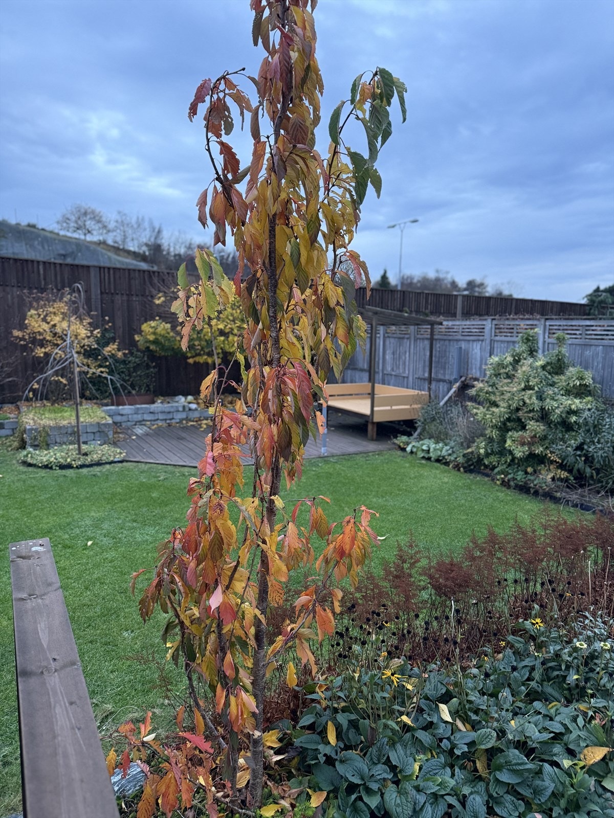 En sen høst Galleribilde