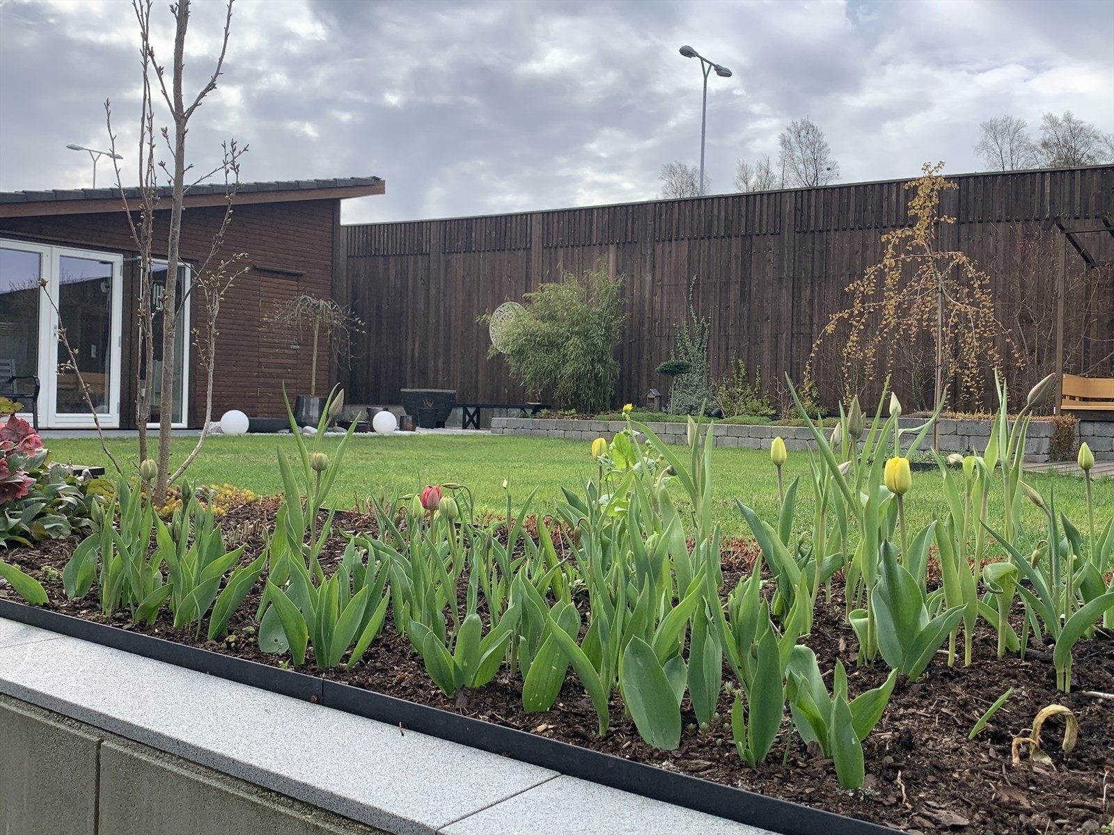 Tidlig vår Galleribilde