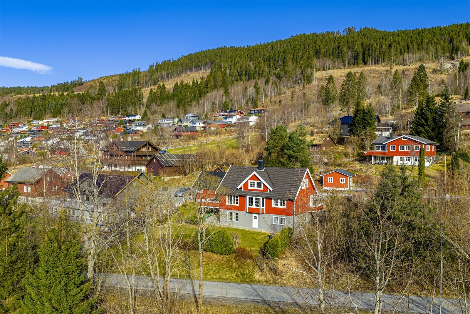Romslig hage med bærbusker og frukttrær Galleribilde