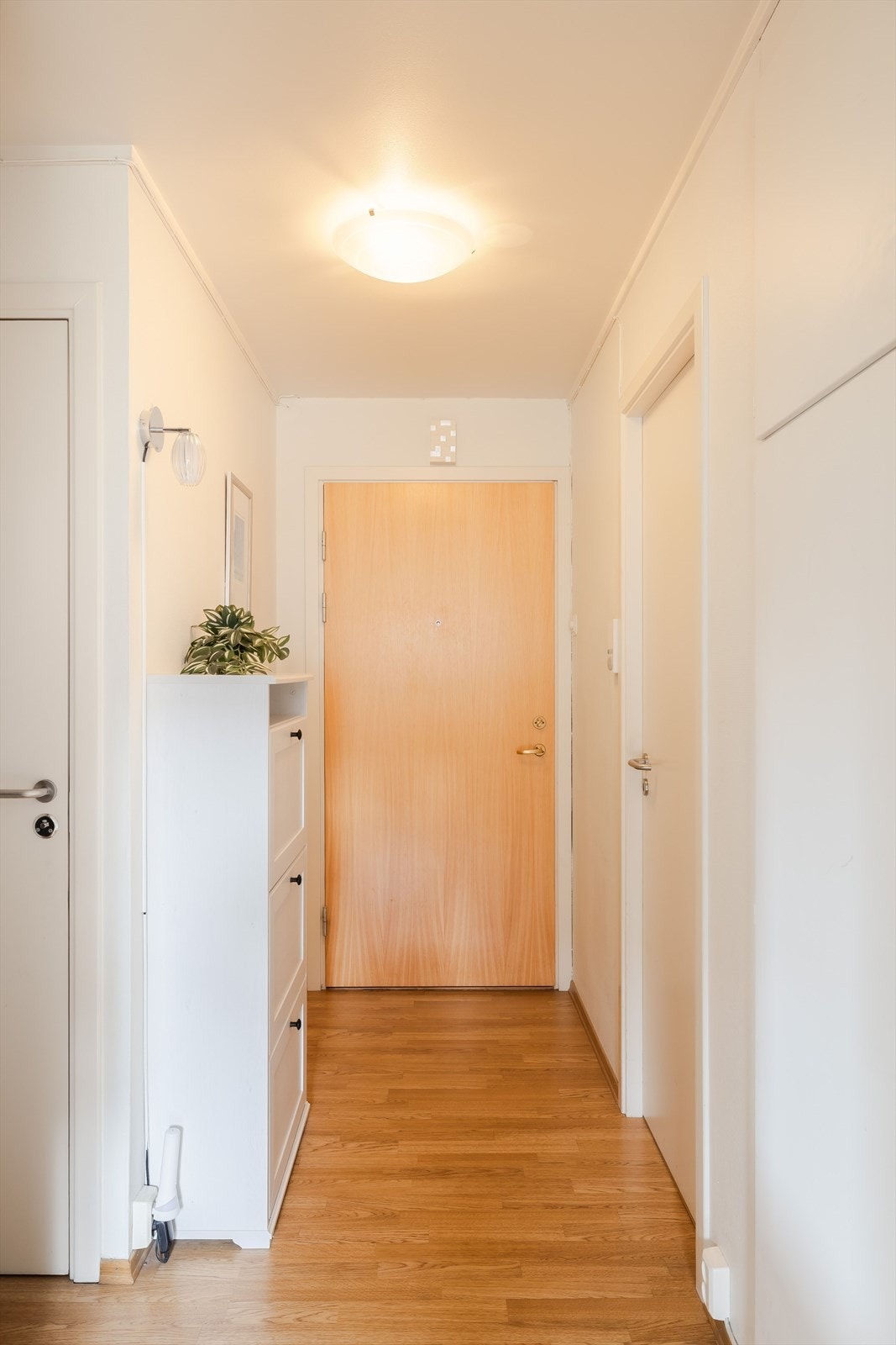 Lys entré med adkomst til soverom til høyre og bad og toalettrom til venstre. Galleribilde