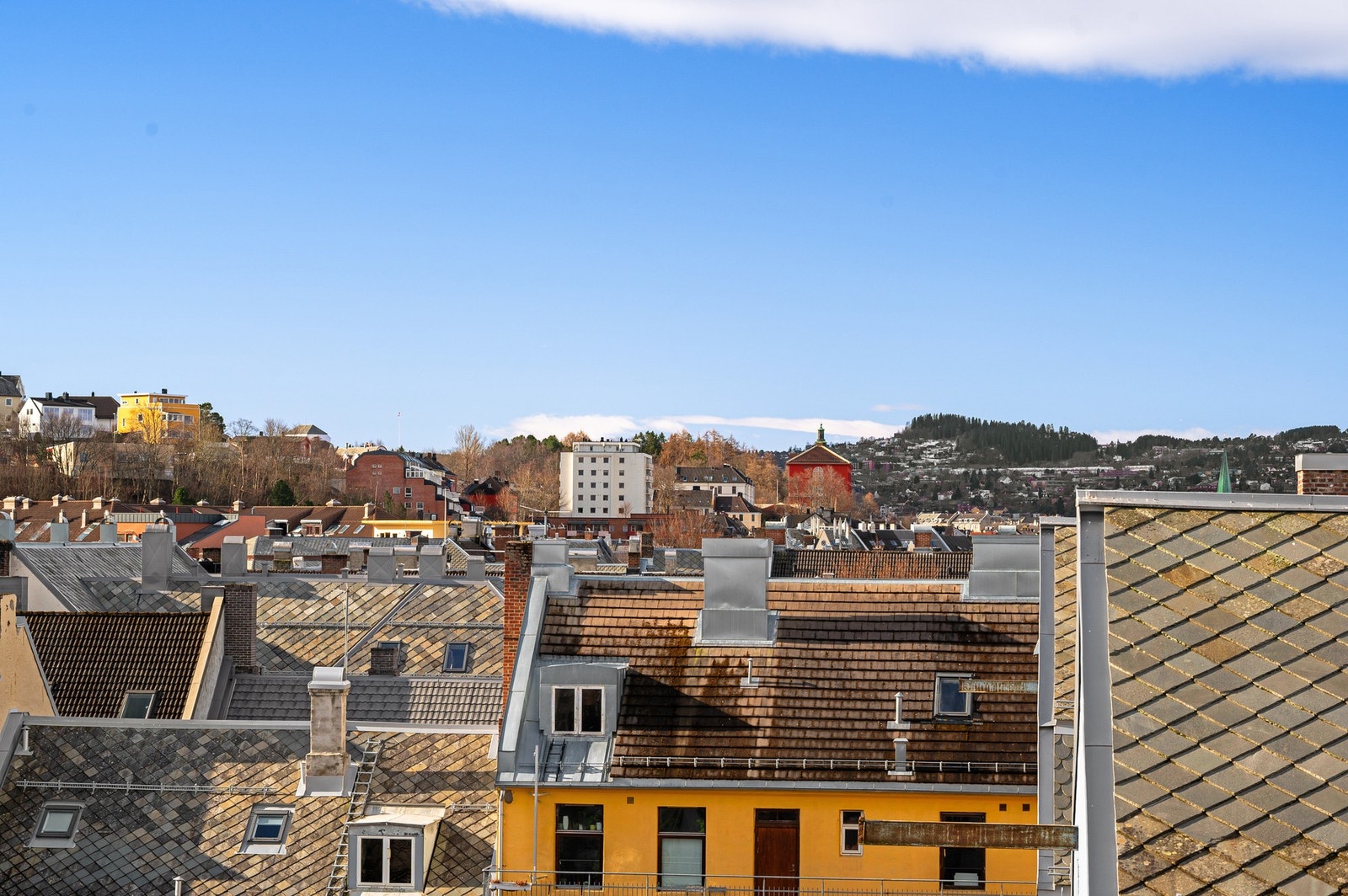 Fin utsikt over nærområdet med karakteristisk bebyggelse og grønne omgivelser i bakgrunnen. Galleribilde