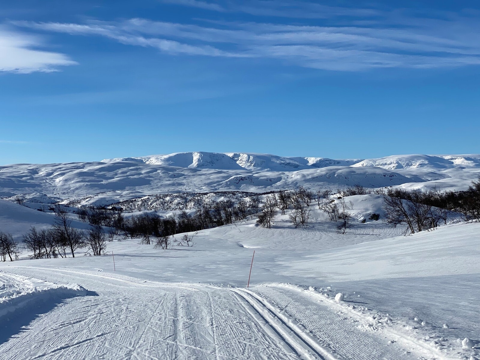 Spenn på deg langrennsskiene og legg ut på tur i flotte, preparerte løyper Galleribilde