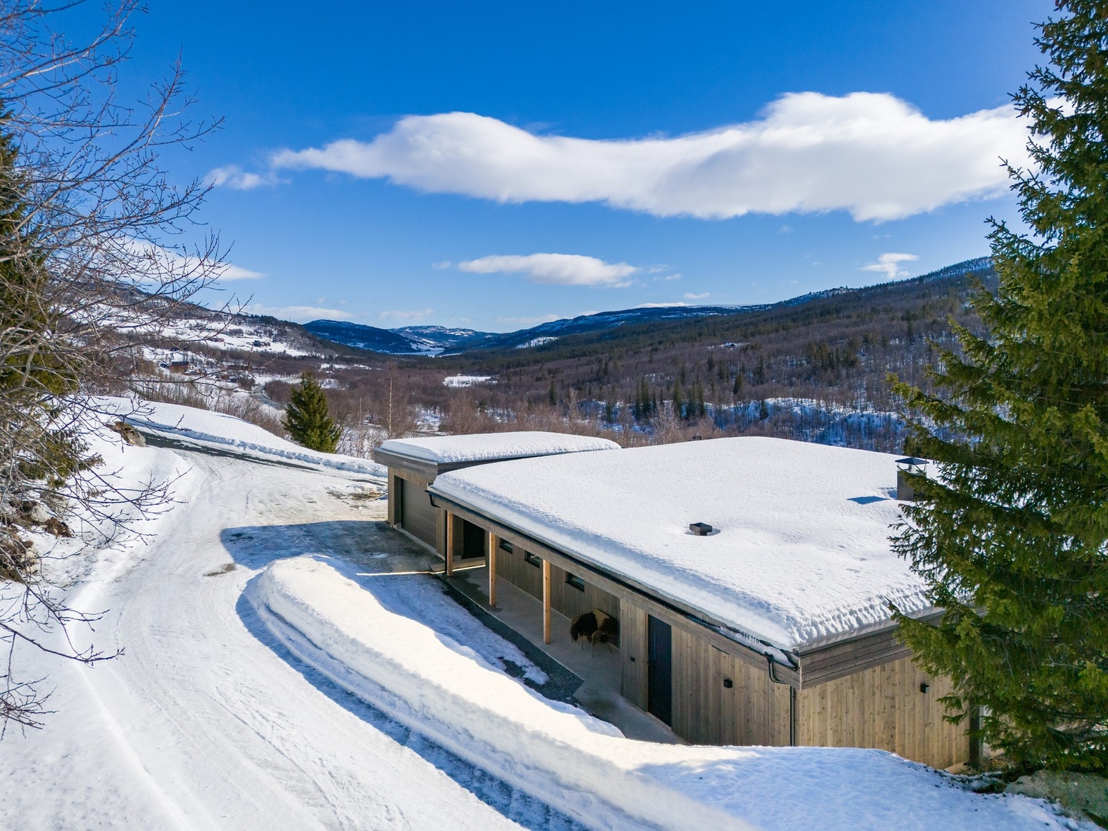 Nå har du muligheten til leve livet på fjellet Galleribilde