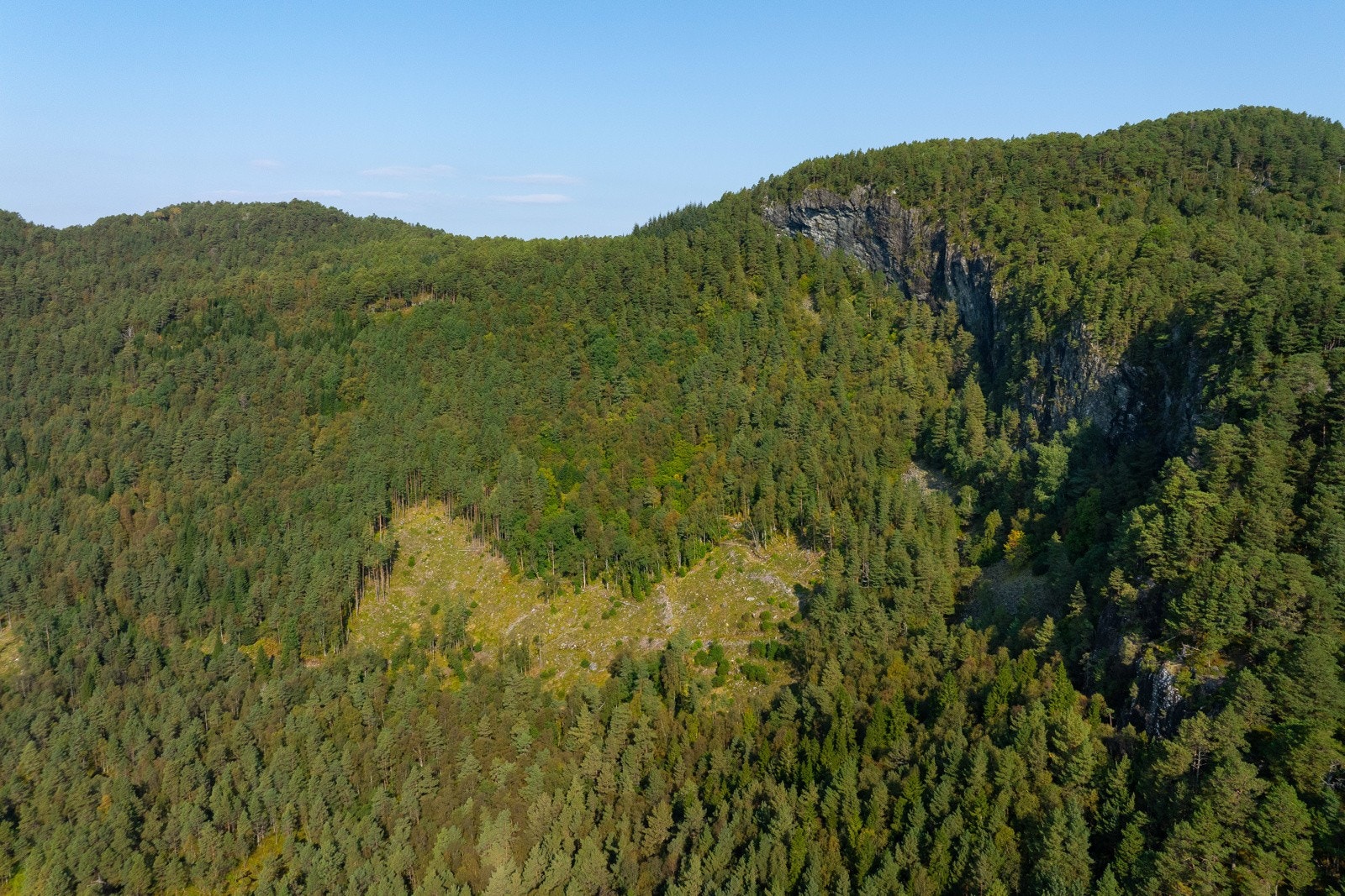 Teig 2 - 3 - Espen Mills Galleribilde