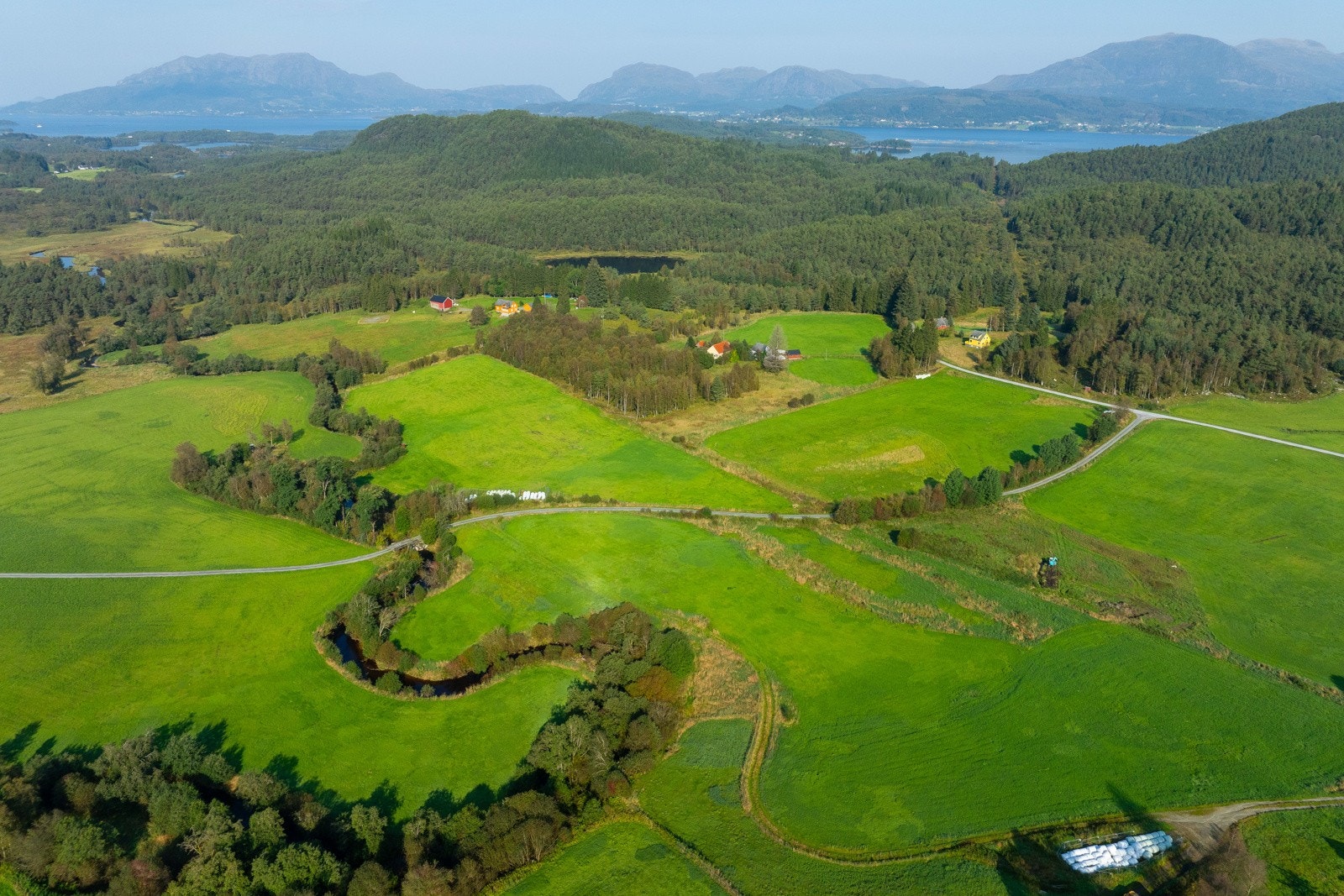 Teig 1 -4 Galleribilde