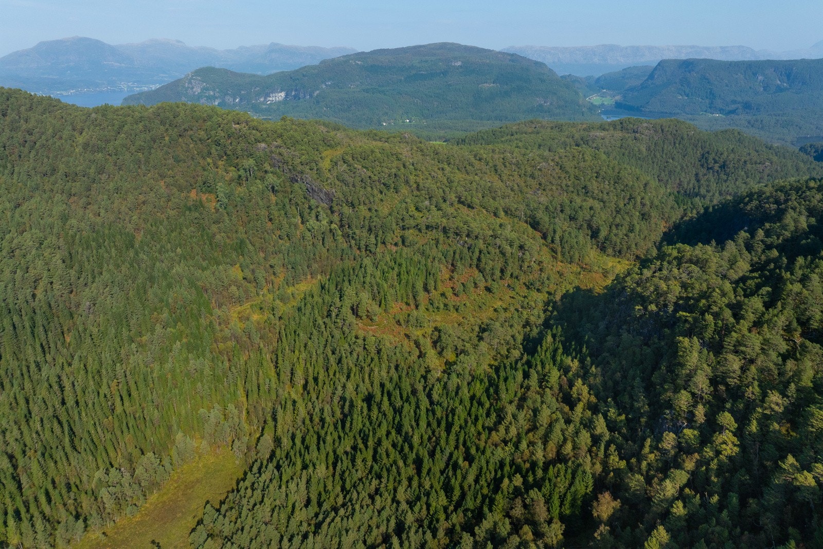 Teig 3 - 4 Galleribilde