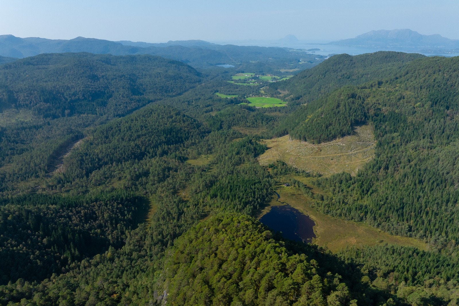 Teig 3 - 6 Galleribilde