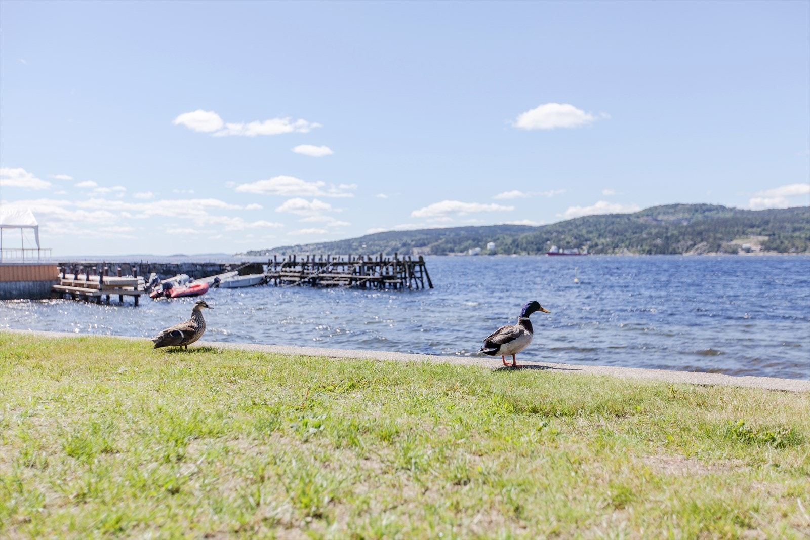 Kort vei til både Emmerstad og Hvitsten med flotte badestrender. Galleribilde
