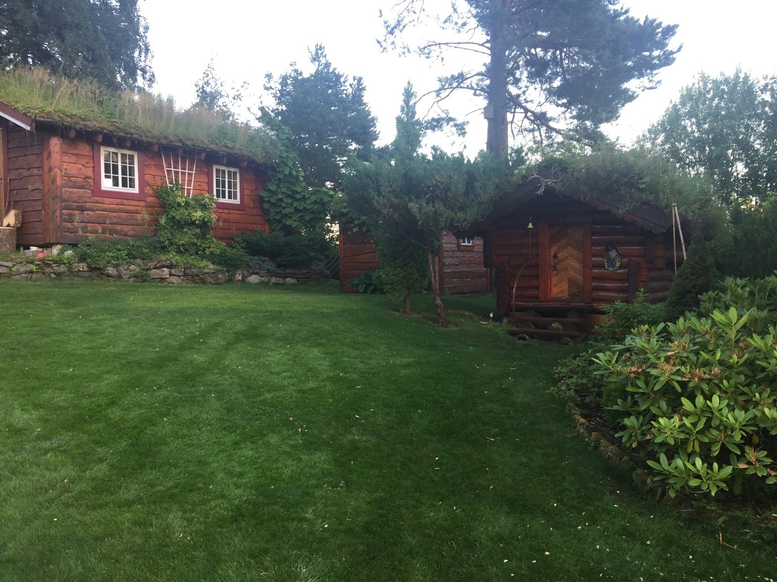 Stor og skjermet hage med god plass til lek og aktivitet Galleribilde