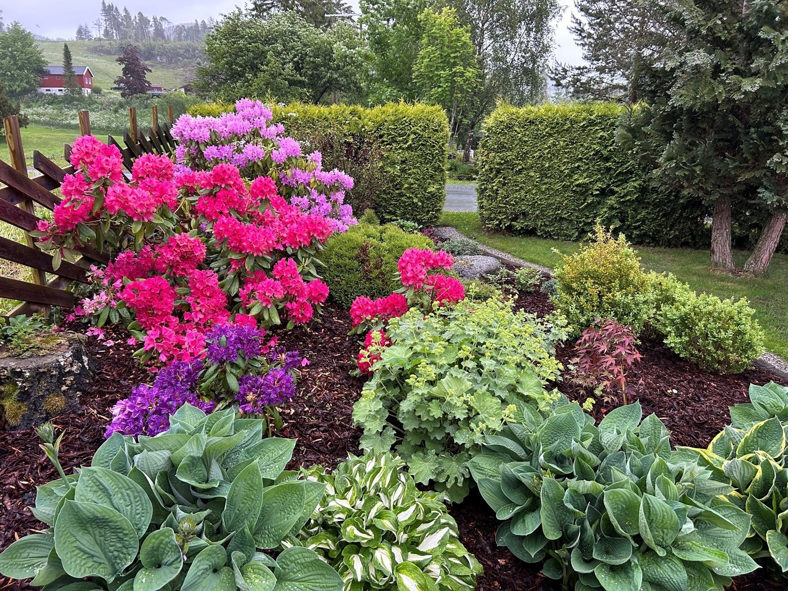 Pent opparbeidet hage med frodig beplantning og vakre farger Galleribilde