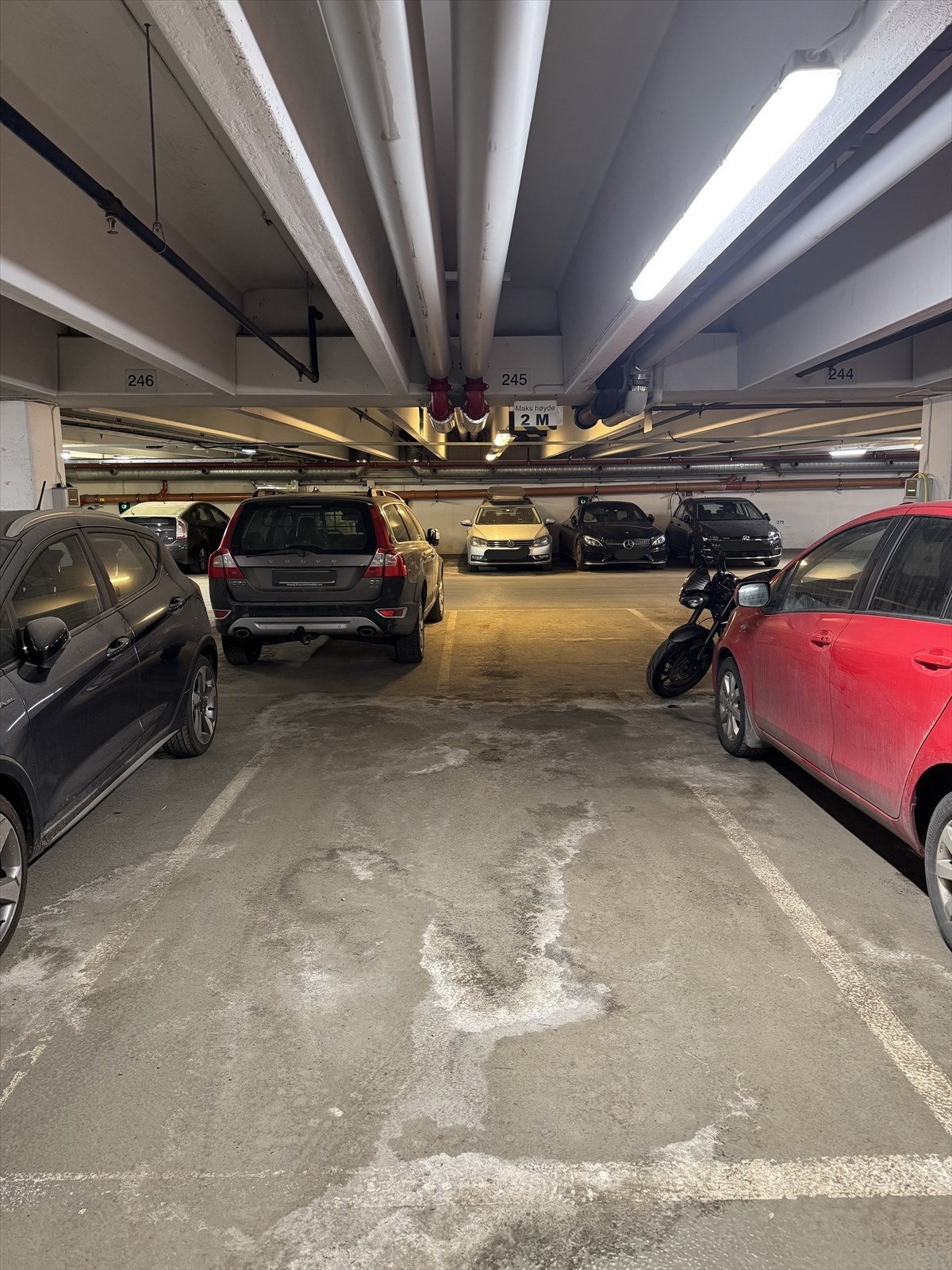 Plass nr. 245 Galleribilde