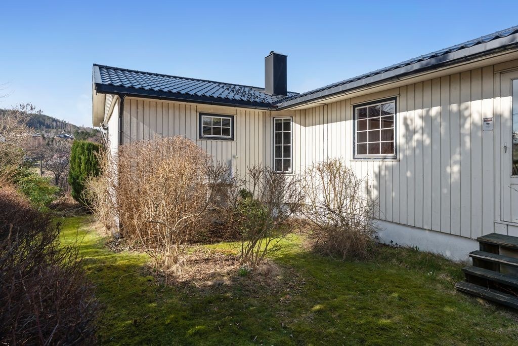 F7osm6E8.jpg Galleribilde