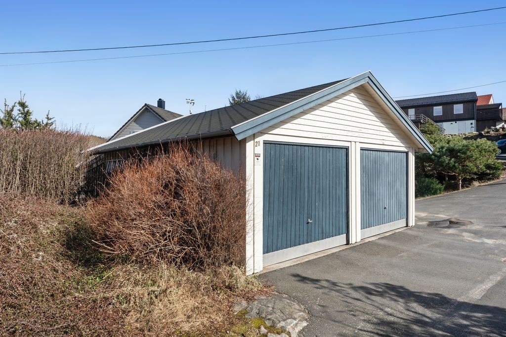 szaRaHSE.jpg Galleribilde