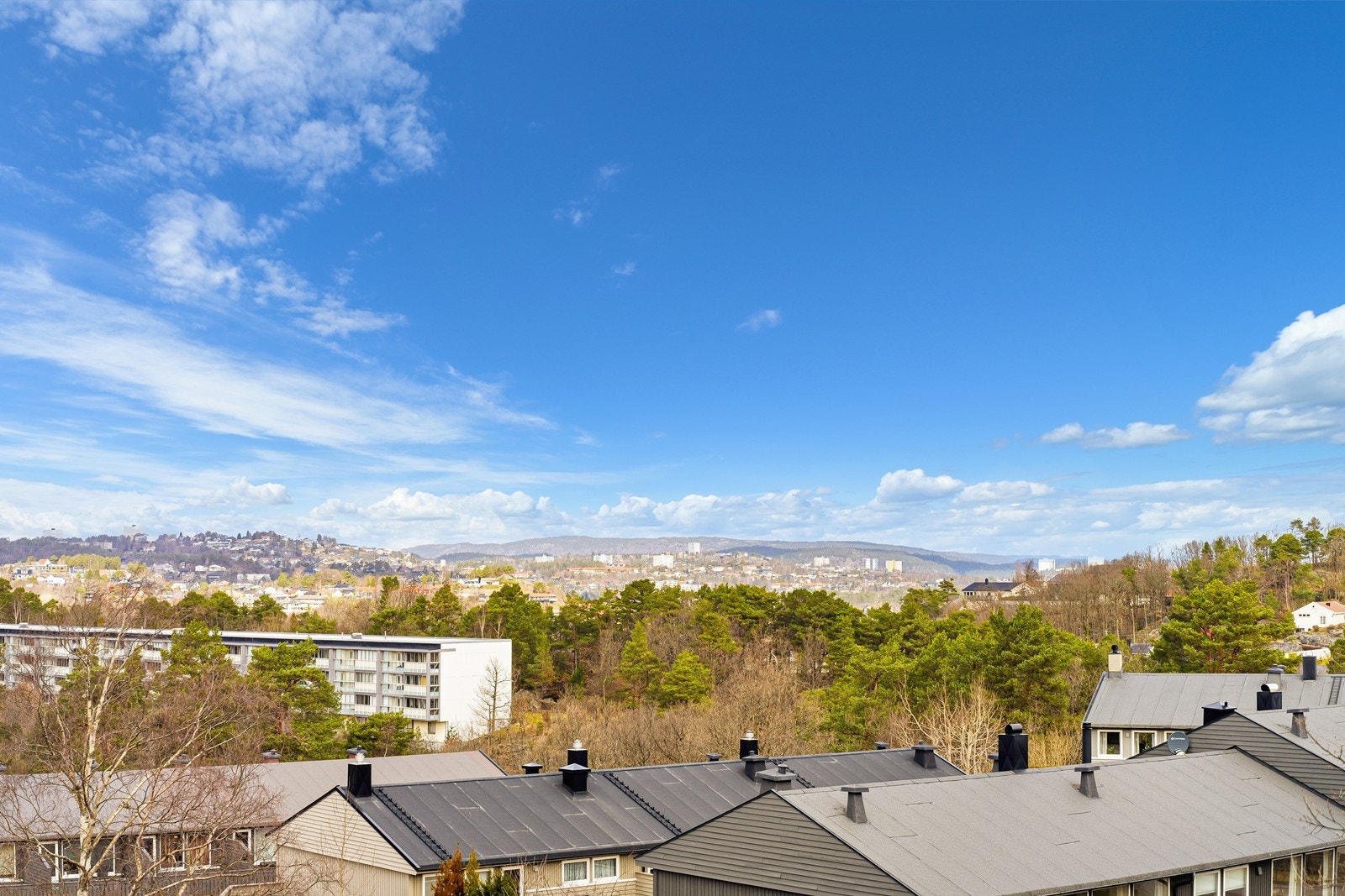 Perfekt for familier, etablerere og enslige, tilbyr området en rolig atmosfære med nærhet til skog og mark Galleribilde
