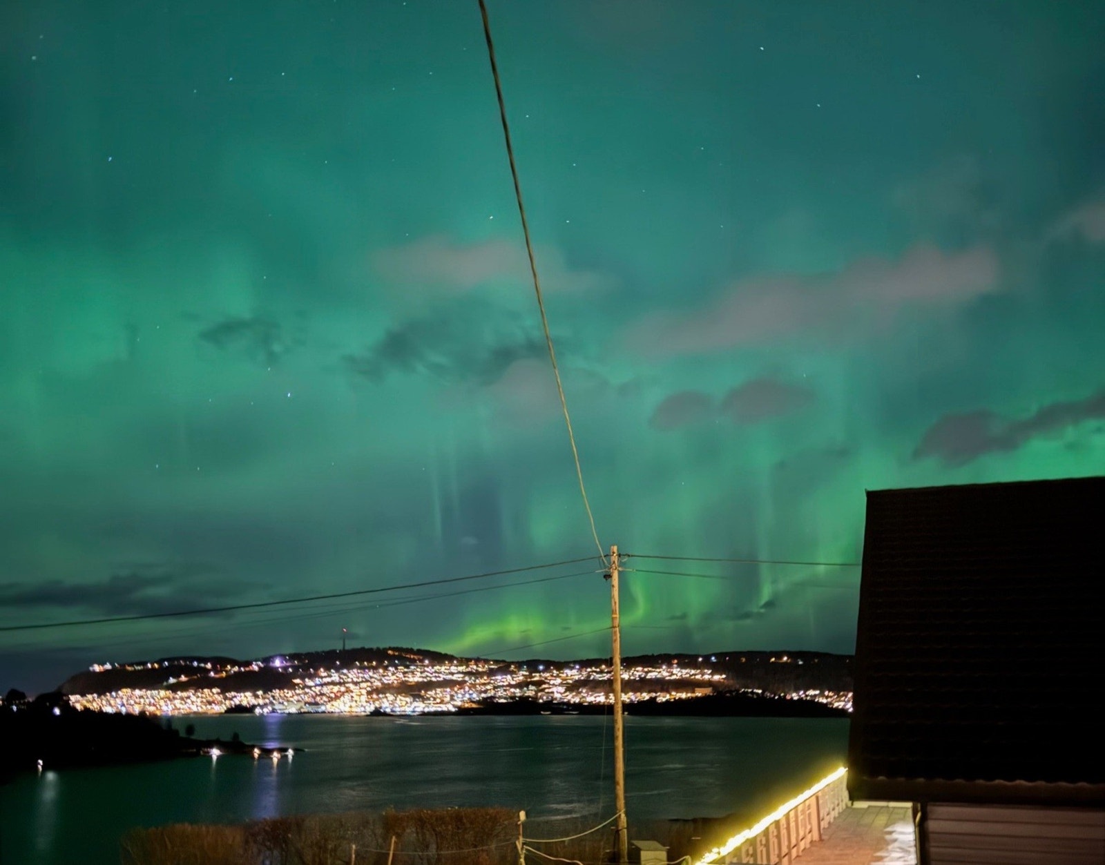 Bilde tatt av selger Galleribilde
