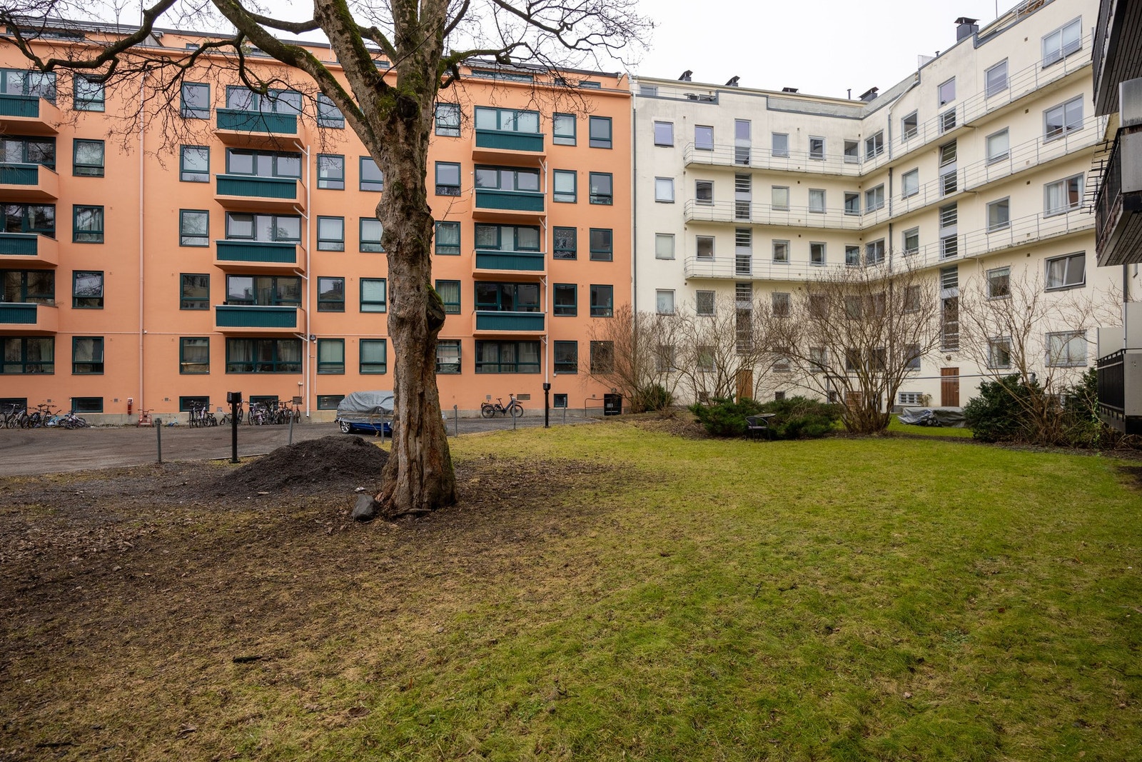 Sameiet har en flott felles bakgård. Galleribilde