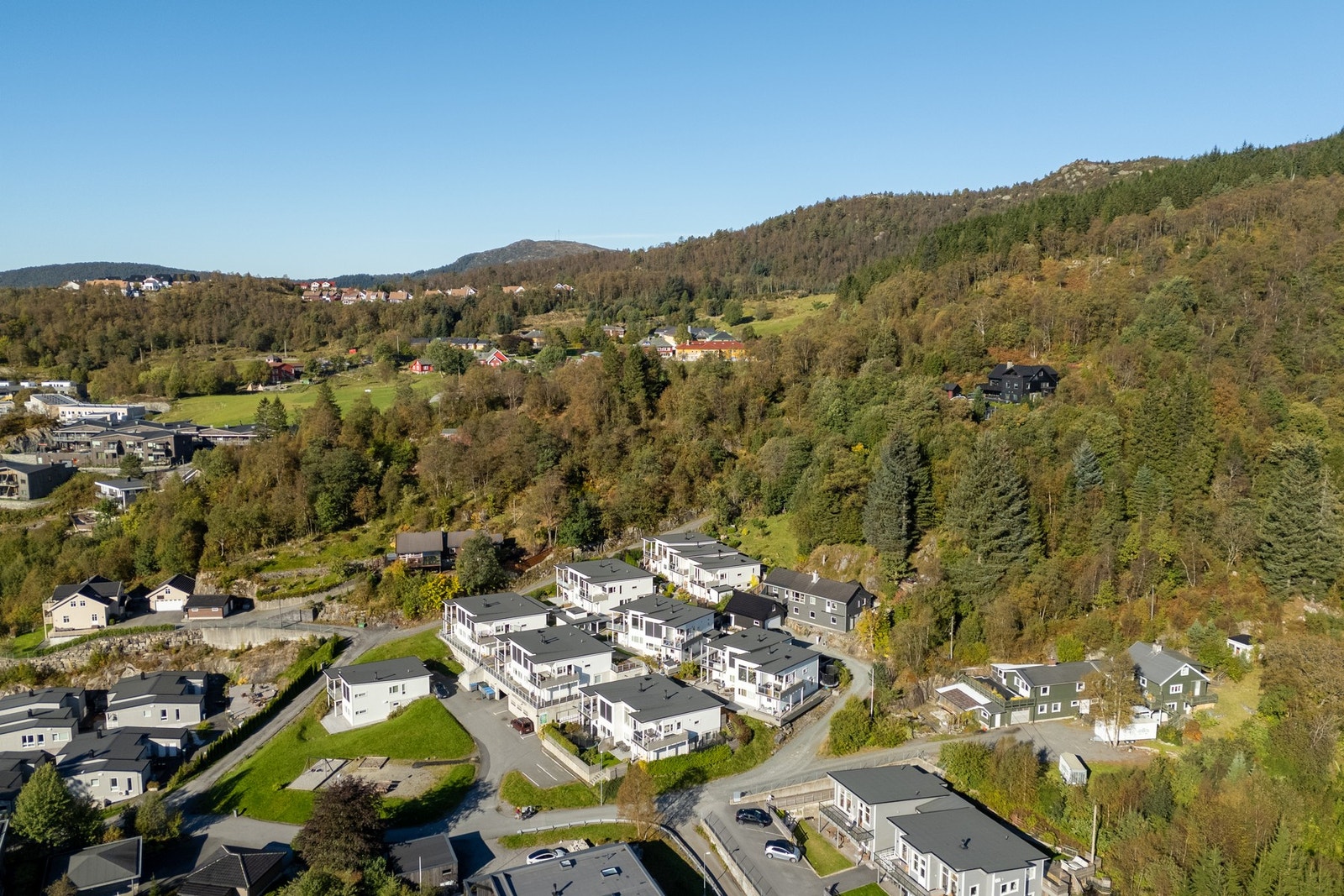 Velkommen til visning! Galleribilde