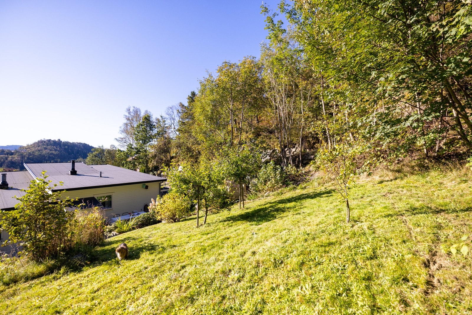 En super uteplass, både for de store og de små! Galleribilde