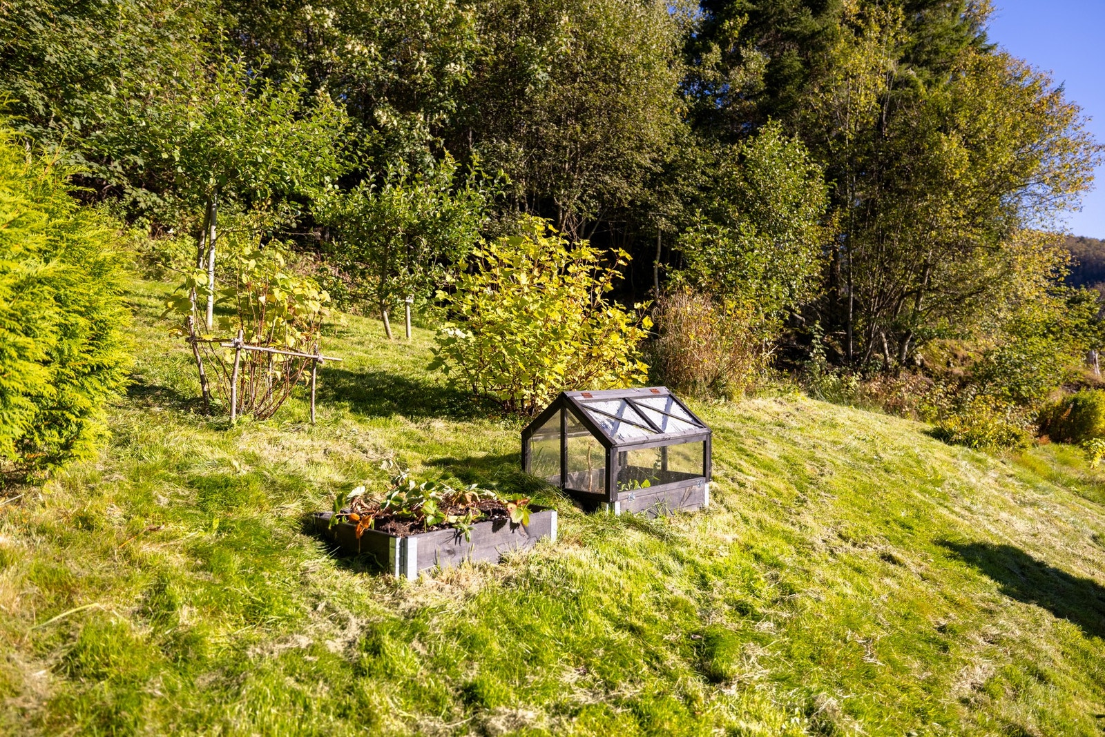 Grøntområdet bak er beplantet med bærbusker og frukttrær av nåværende eier. Galleribilde
