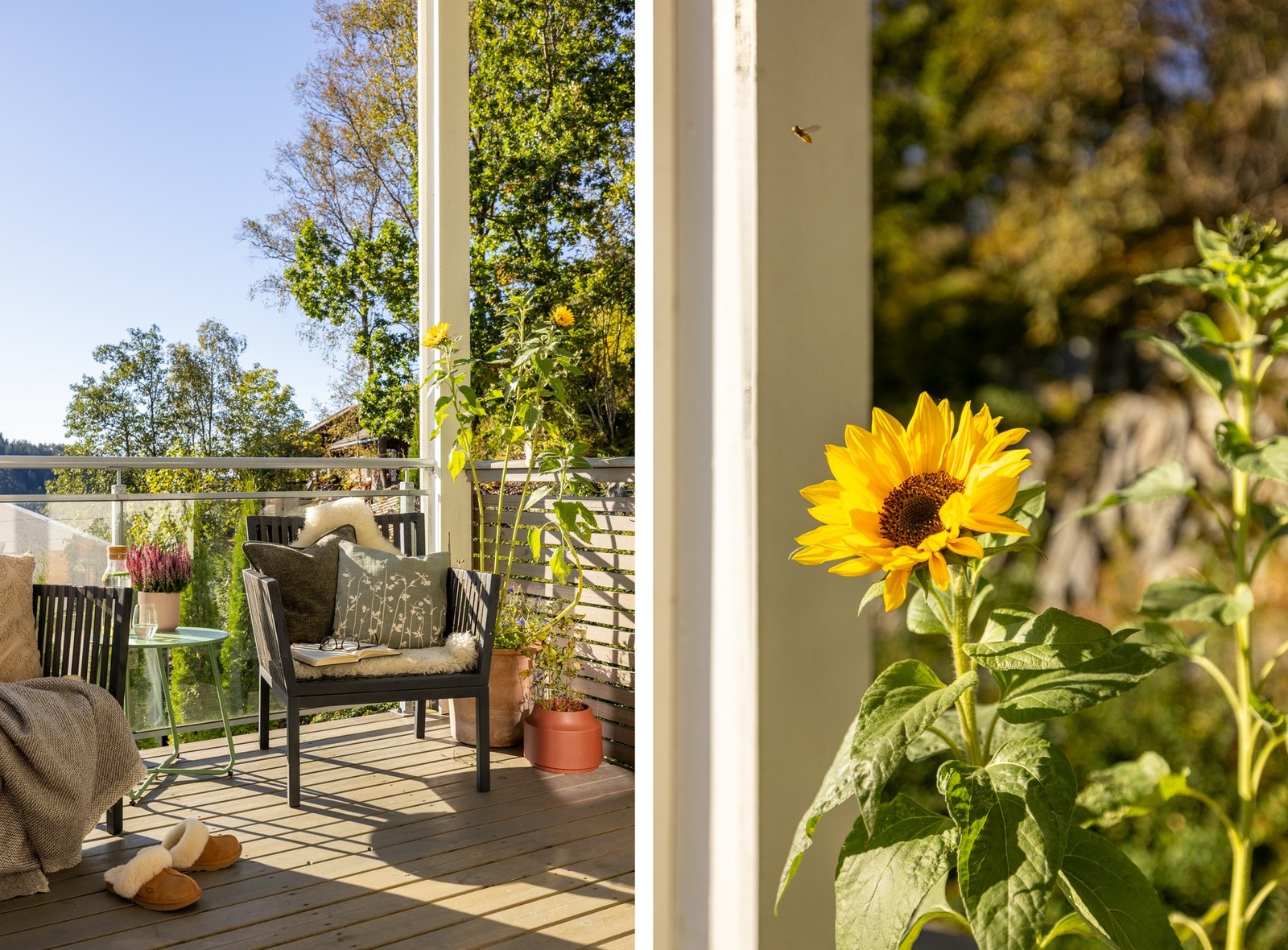 Mekleriet eiendomsmegling Galleribilde