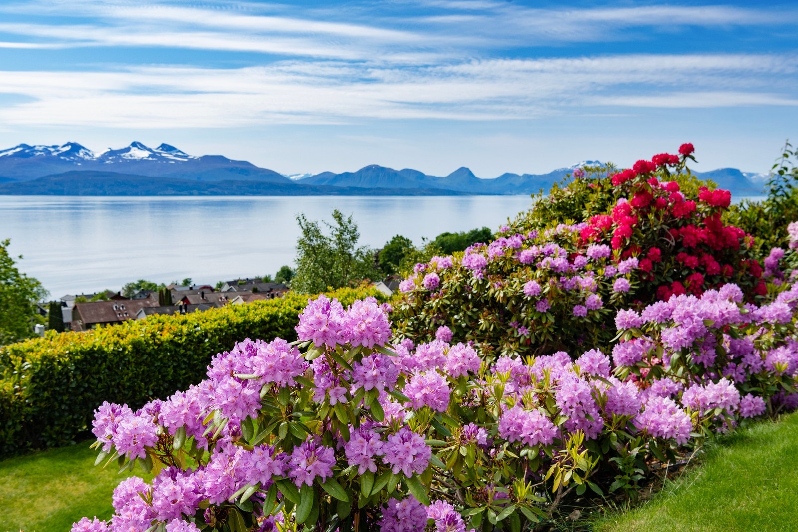 Eiendommen er parkmessig anlagt. Galleribilde
