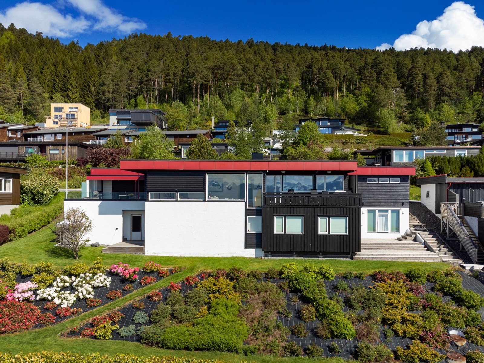 Det er ca. 70 rhododendroner i hagen. Galleribilde